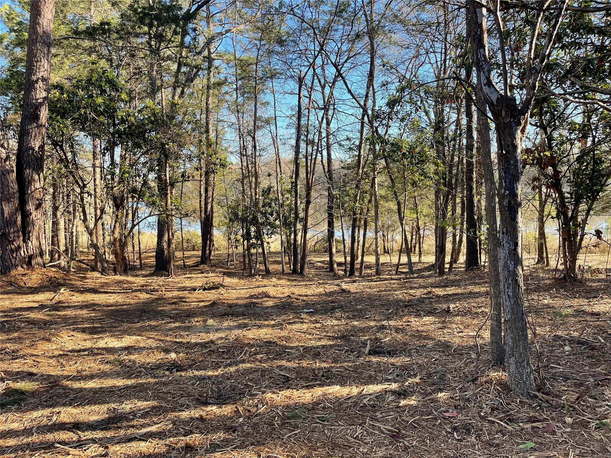 Unimproved Land For Sale in Wood County , TBD Lot 3 County Road 2200, Mineola, Texas 75773, 0, 0, Garage spaces, 0 Sqft, built in 0, Price $87,500, mls#21294198, Real Estate Agent in Mineola, Homes For Sale in Wood county, Homes For Sale in Mineola, Realtor in Mineola Texas, Real Estate Brokerage Independent Realty Texas, Luminita Cordes Realtor