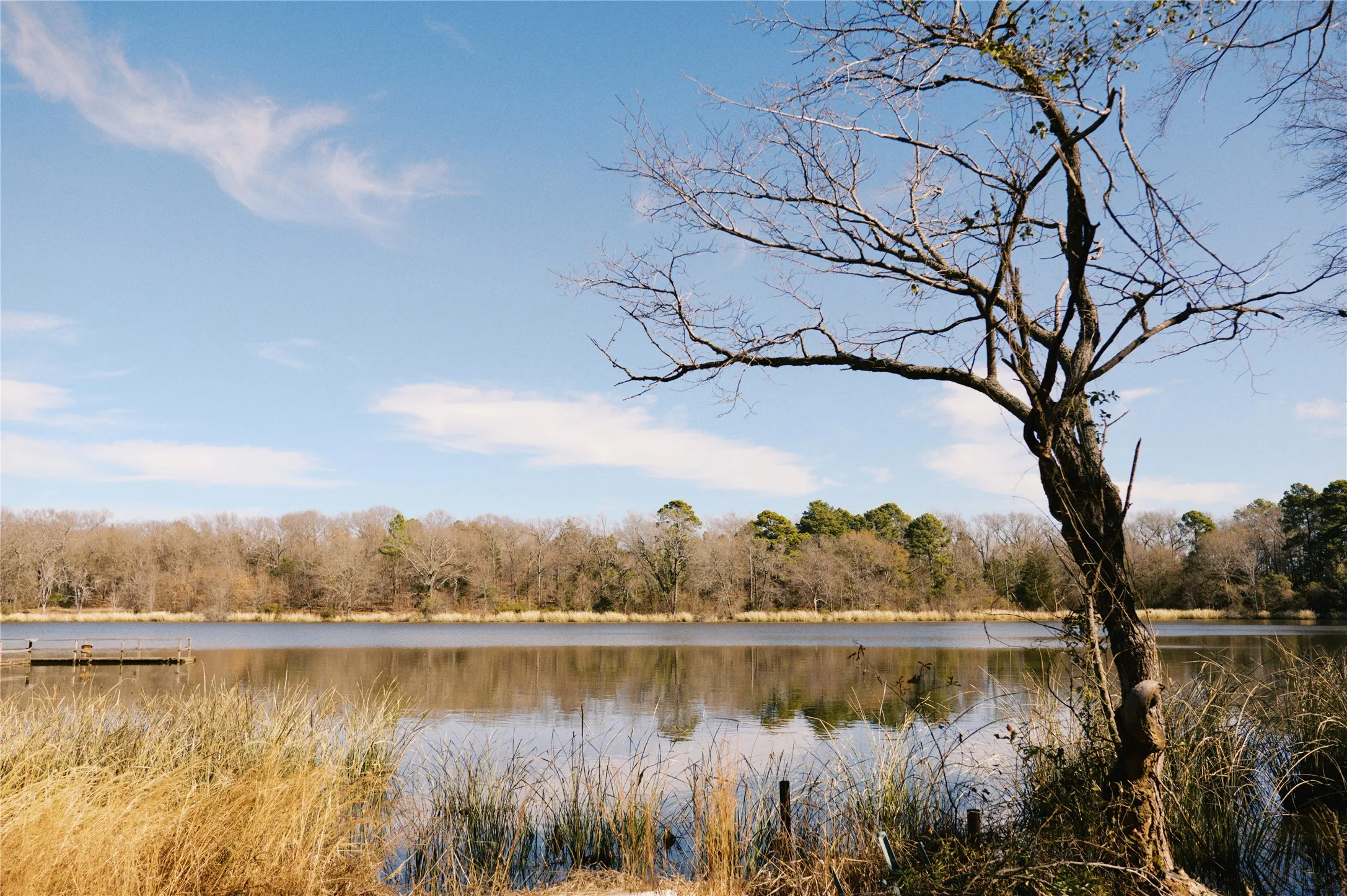 Unimproved Land For Sale in Wood County , TBD Lot 3 County Road 2200, Mineola, Texas 75773, 0, 0, Garage spaces, 0 Sqft, built in 0, Price $87,500, mls#21294198, Real Estate Agent in Mineola, Homes For Sale in Wood county, Homes For Sale in Mineola, Realtor in Mineola Texas, Real Estate Brokerage Independent Realty Texas, Luminita Cordes Realtor