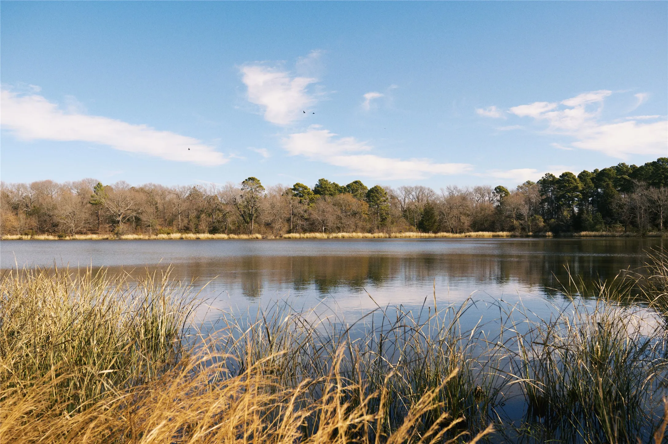Unimproved Land For Sale in Wood County , TBD Lot 3 County Road 2200, Mineola, Texas 75773, 0, 0, Garage spaces, 0 Sqft, built in 0, Price $87,500, mls#21294198, Real Estate Agent in Mineola, Homes For Sale in Wood county, Homes For Sale in Mineola, Realtor in Mineola Texas, Real Estate Brokerage Independent Realty Texas, Luminita Cordes Realtor