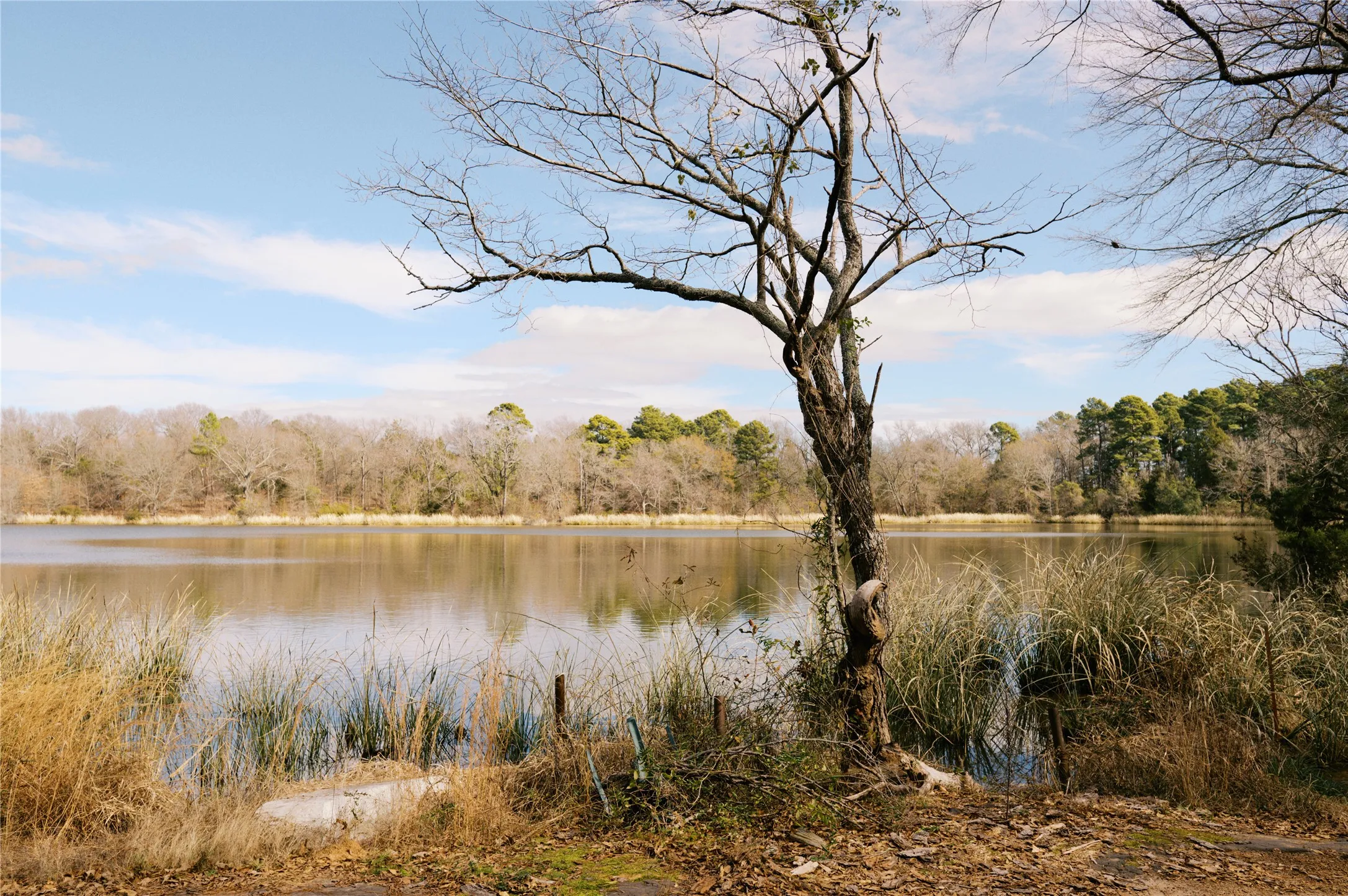 Unimproved Land For Sale in Wood County , TBD Lot 3 County Road 2200, Mineola, Texas 75773, 0, 0, Garage spaces, 0 Sqft, built in 0, Price $87,500, mls#21294198, Real Estate Agent in Mineola, Homes For Sale in Wood county, Homes For Sale in Mineola, Realtor in Mineola Texas, Real Estate Brokerage Independent Realty Texas, Luminita Cordes Realtor