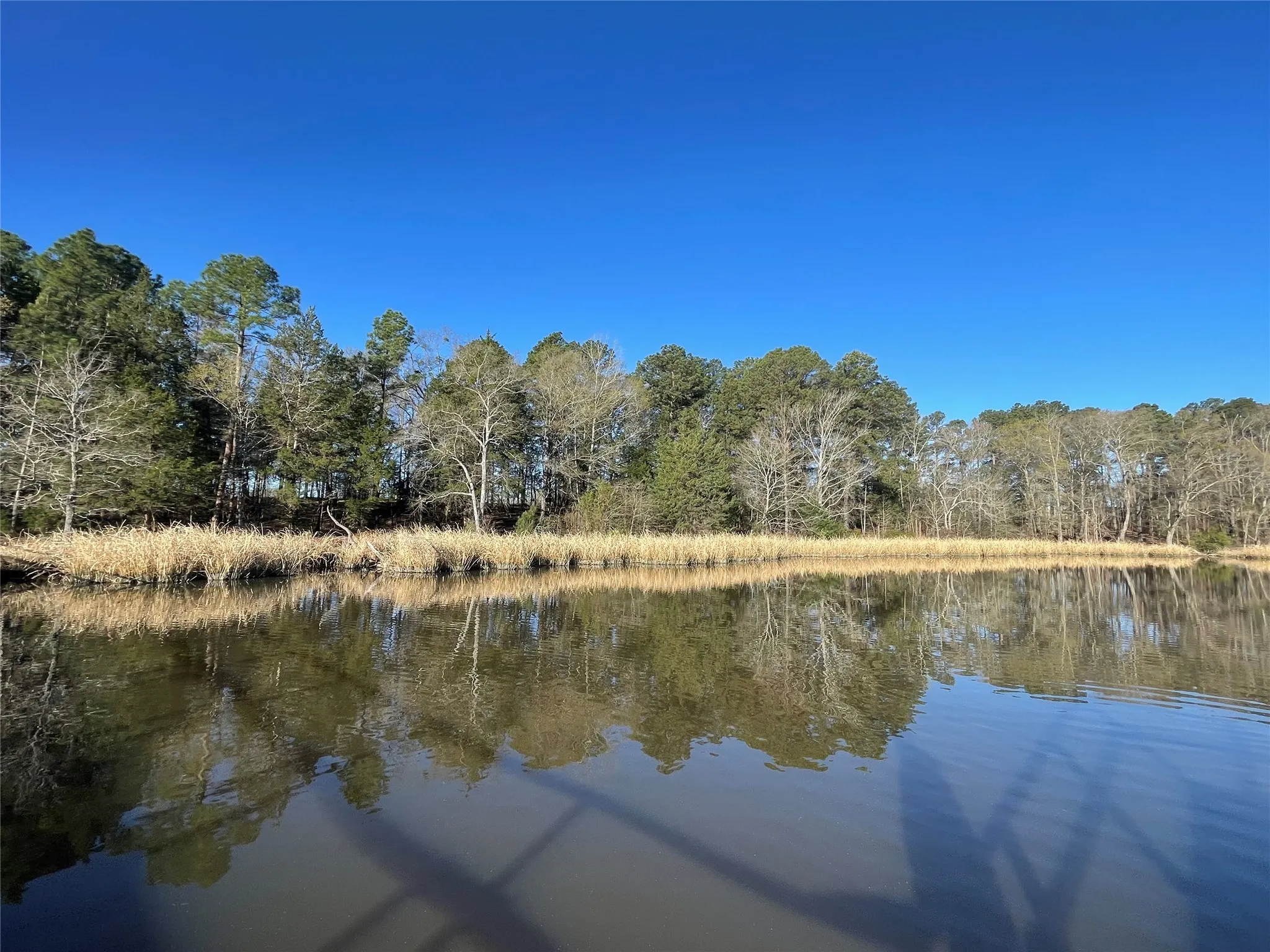 Unimproved Land For Sale in Wood County , TBD Lot 3 County Road 2200, Mineola, Texas 75773, 0, 0, Garage spaces, 0 Sqft, built in 0, Price $87,500, mls#21294198, Real Estate Agent in Mineola, Homes For Sale in Wood county, Homes For Sale in Mineola, Realtor in Mineola Texas, Real Estate Brokerage Independent Realty Texas, Luminita Cordes Realtor