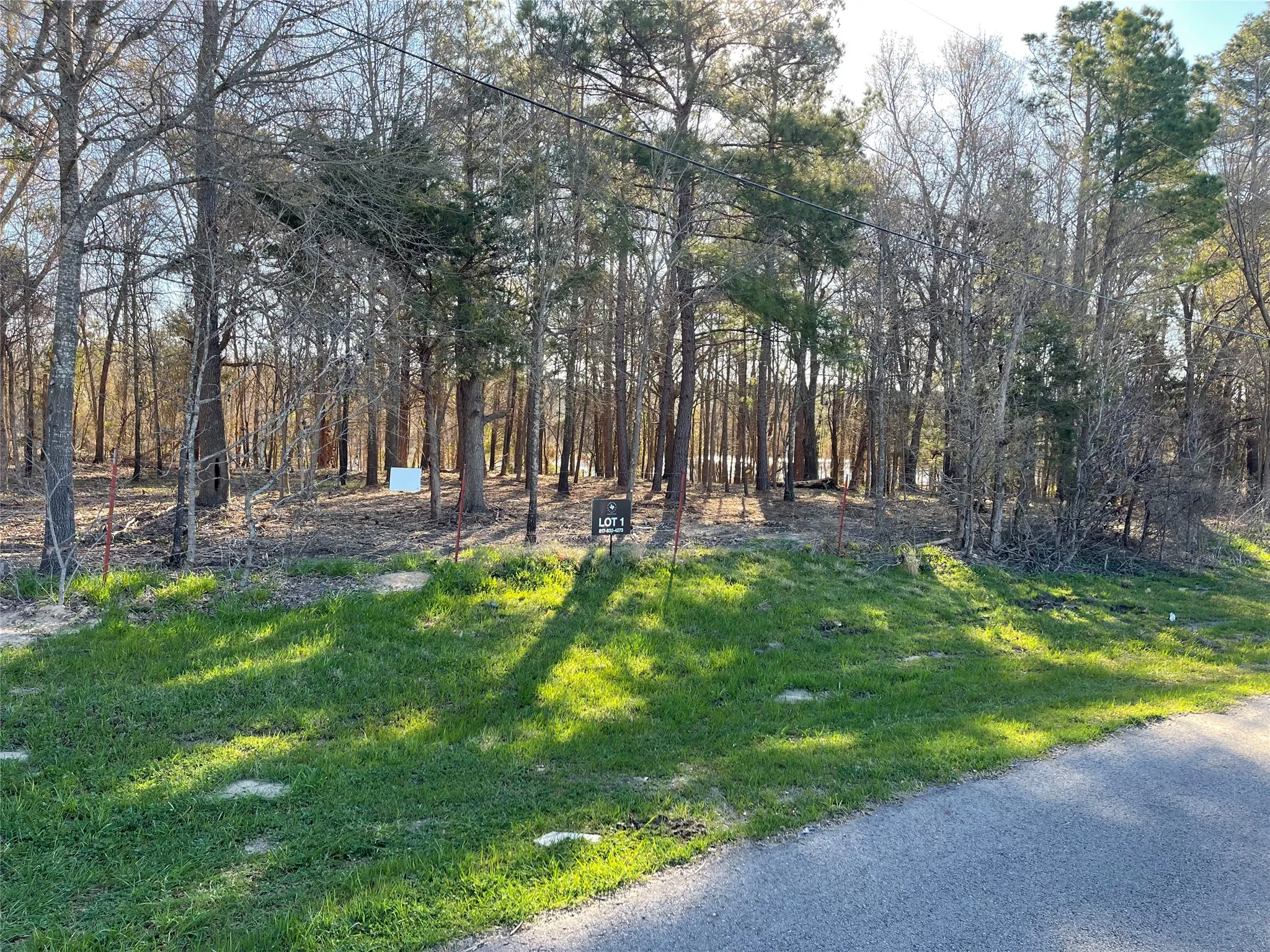 Unimproved Land For Sale in Wood County , TBD Lot 3 County Road 2200, Mineola, Texas 75773, 0, 0, Garage spaces, 0 Sqft, built in 0, Price $87,500, mls#21294198, Real Estate Agent in Mineola, Homes For Sale in Wood county, Homes For Sale in Mineola, Realtor in Mineola Texas, Real Estate Brokerage Independent Realty Texas, Luminita Cordes Realtor