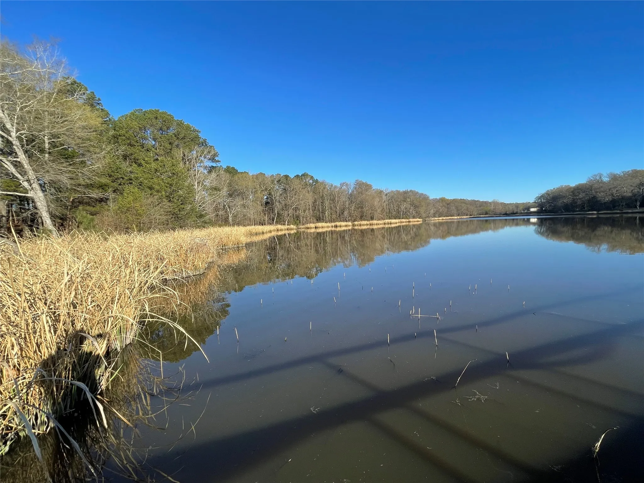 Unimproved Land For Sale in Wood County , TBD Lot 3 County Road 2200, Mineola, Texas 75773, 0, 0, Garage spaces, 0 Sqft, built in 0, Price $87,500, mls#21294198, Real Estate Agent in Mineola, Homes For Sale in Wood county, Homes For Sale in Mineola, Realtor in Mineola Texas, Real Estate Brokerage Independent Realty Texas, Luminita Cordes Realtor