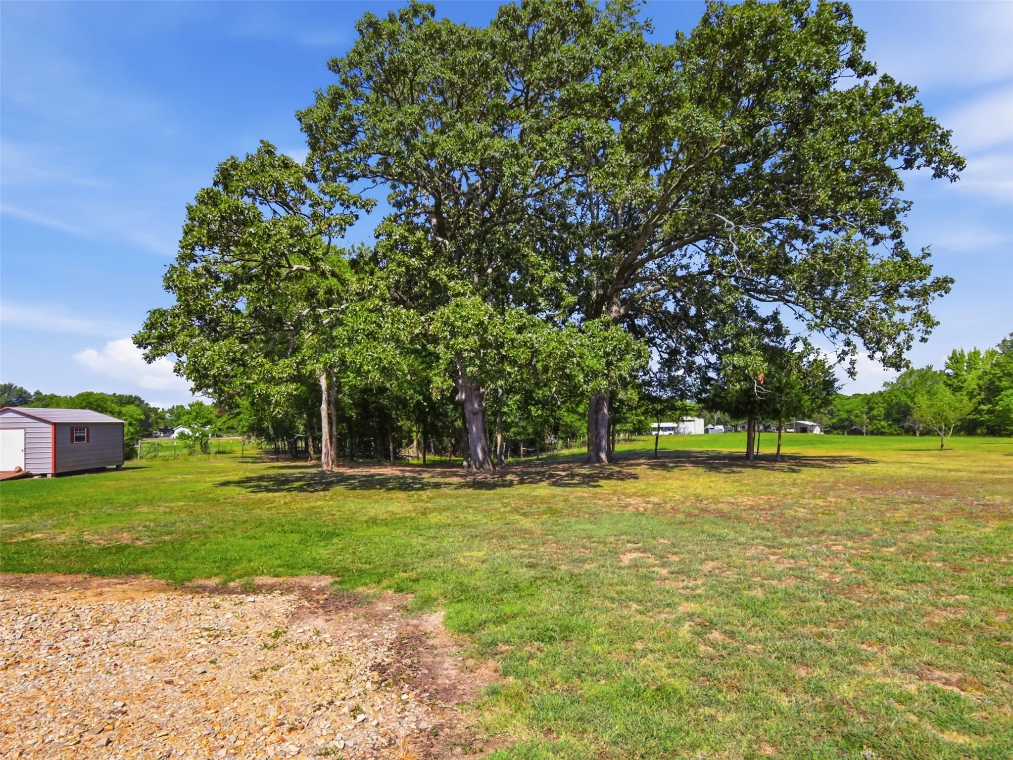 Manufactured Home For Sale in Wood County , 381 County Road 1739, Yantis, Texas 75497, 2 Bedroom, 1 Bathroom, Garage spaces, 784 Sqft, built in 2016, mls#21340702, Real Estate Agent in Yantis, Homes For Sale in Wood county, Homes For Sale in Yantis, Realtor in Yantis Texas, Real Estate Brokerage Independent Realty Texas, Luminita Cordes Realtor