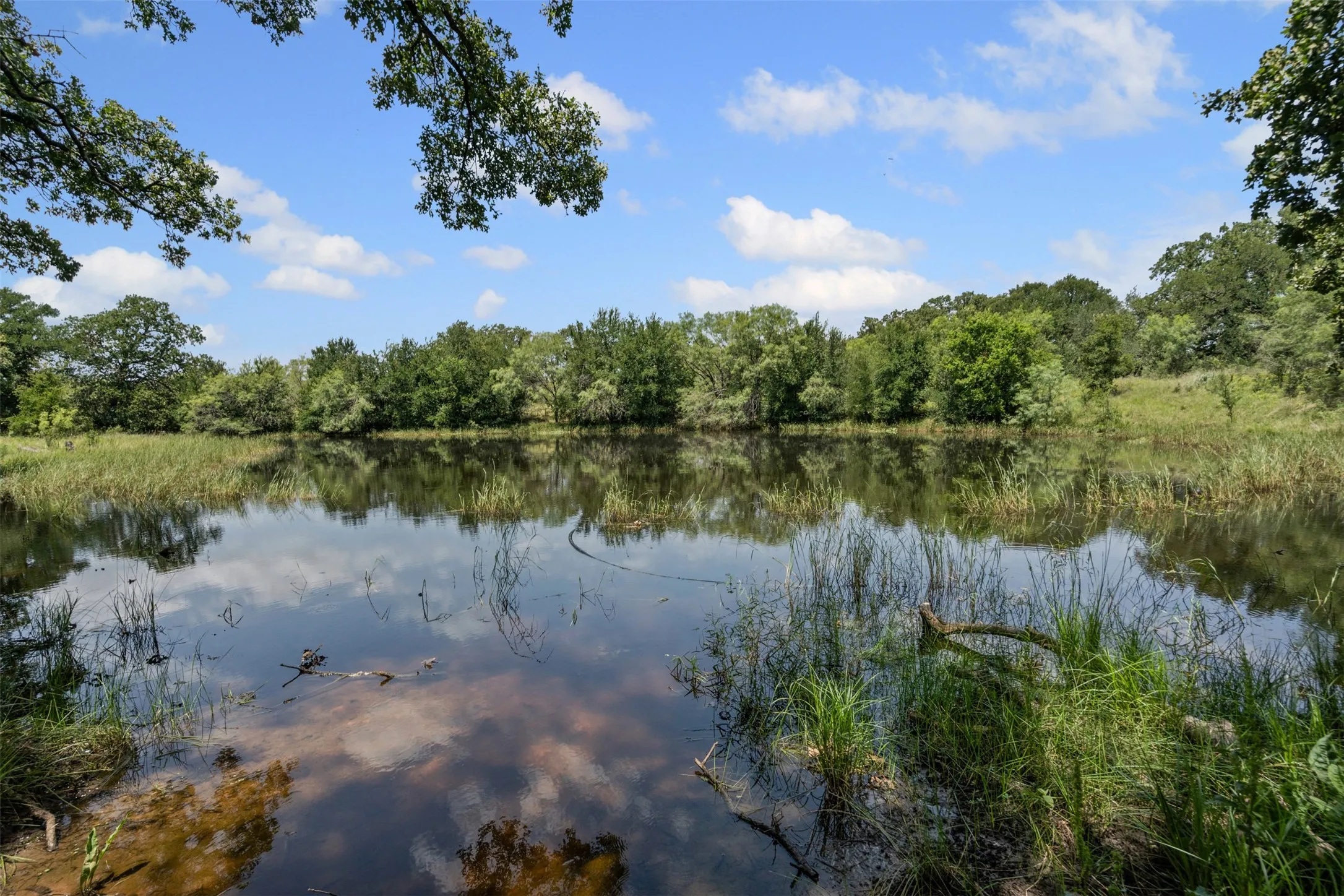 Ranch For Sale in Palo Pinto County , TBD Coalville Road, Gordon, Texas 76453, 0, 0, Garage spaces, 0 Sqft, built in 0, mls#21340747, Real Estate Agent in Gordon, Homes For Sale in Palo Pinto county, Homes For Sale in Gordon, Realtor in Gordon Texas, Real Estate Brokerage Independent Realty Texas, Luminita Cordes Realtor