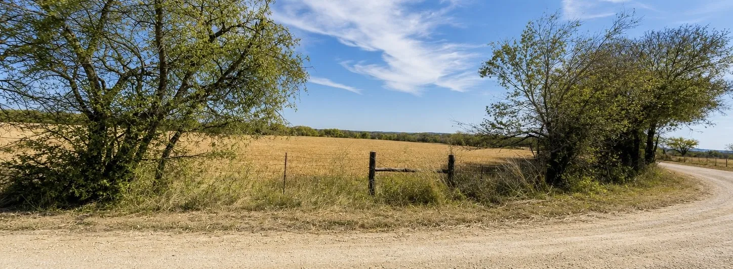 Unimproved Land For Sale in Hill County , 4411 TBD HCR, Grandview, Texas 76050, 0, 0, Garage spaces, 0 Sqft, built in 0, mls#21341180, Real Estate Agent in Grandview, Homes For Sale in Hill county, Homes For Sale in Grandview, Realtor in Grandview Texas, Real Estate Brokerage Independent Realty Texas, Luminita Cordes Realtor