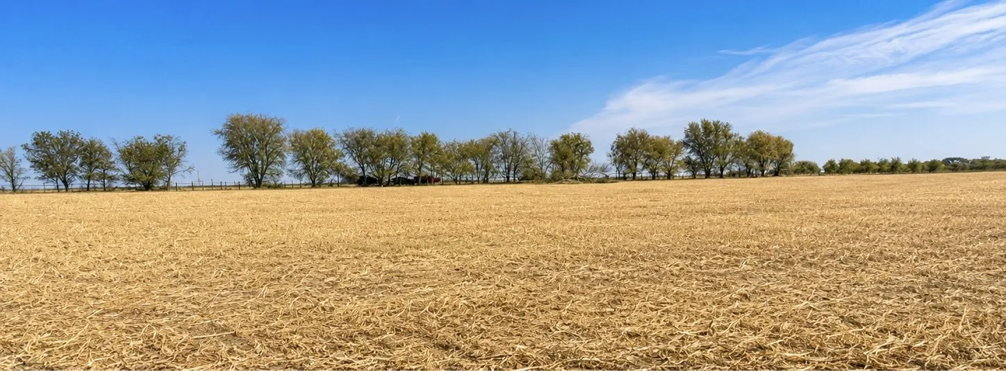 mature trees along the horizon