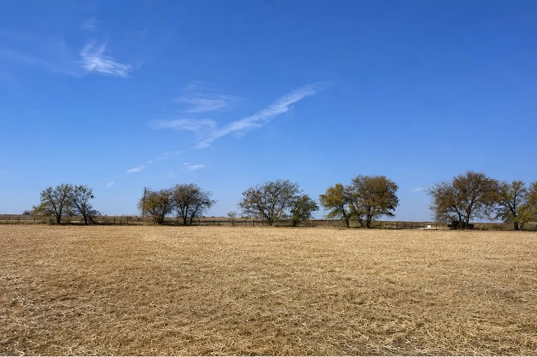 Unimproved Land For Sale in Hill County , 4411 TBD HCR, Grandview, Texas 76050, 0, 0, Garage spaces, 0 Sqft, built in 0, mls#21341180, Real Estate Agent in Grandview, Homes For Sale in Hill county, Homes For Sale in Grandview, Realtor in Grandview Texas, Real Estate Brokerage Independent Realty Texas, Luminita Cordes Realtor