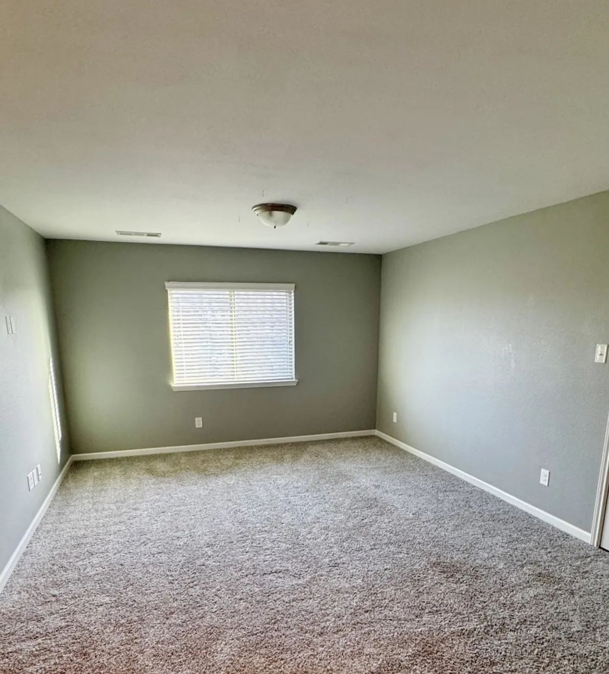 Expansive room featuring plush carpeting, a window with horizontal blinds, and a flush mount ceiling light fixture
