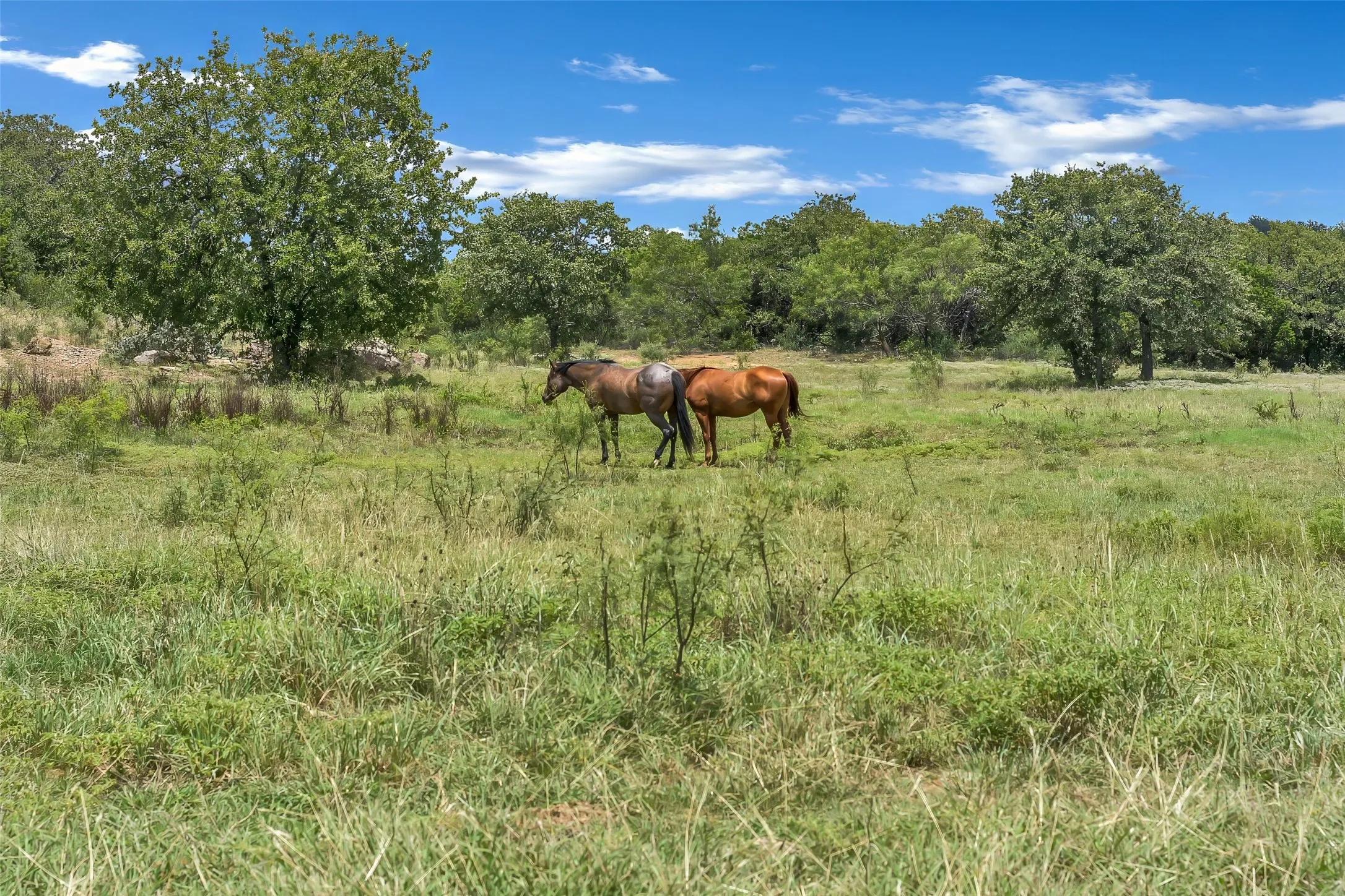 Single Family Residence For Sale in Palo Pinto County , 3911 N Highway 281, Mineral Wells, Texas 76067, 3 Bedroom, 3 Bathroom, 3 Garage spaces, 2,603 Sqft, built in 1994, mls#21341151, Real Estate Agent in Mineral Wells, Homes For Sale in Palo Pinto county, Homes For Sale in Mineral Wells, Realtor in Mineral Wells Texas, Real Estate Brokerage Independent Realty Texas, Luminita Cordes Realtor