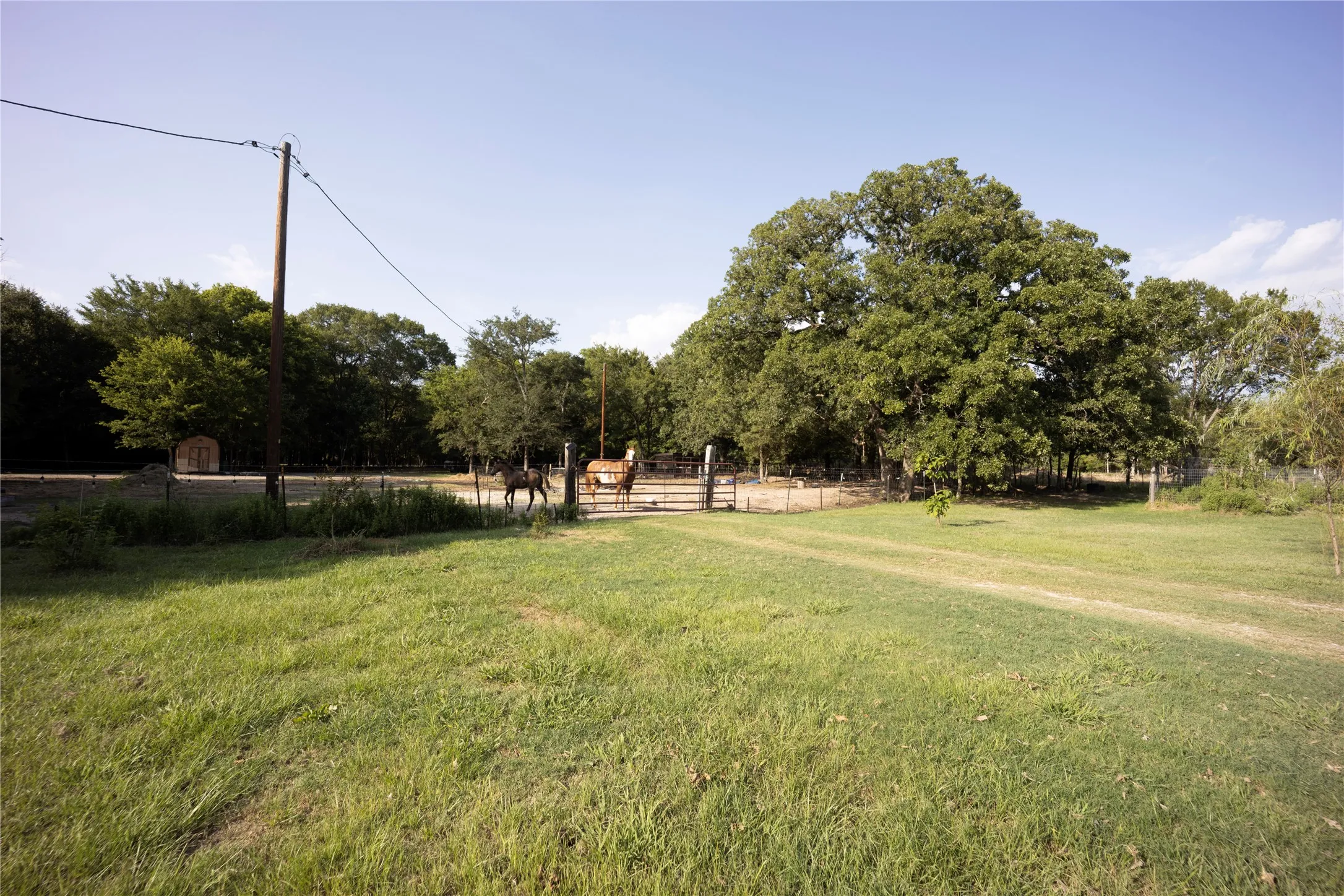 Mobile Home For Sale in Kaufman County , 15960 Four Oaks Drive, Kemp, Texas 75143, 5 Bedroom, 4 Bathroom, Garage spaces, 2,496 Sqft, built in 1995, mls#21340238, Real Estate Agent in Kemp, Homes For Sale in Kaufman county, Homes For Sale in Kemp, Realtor in Kemp Texas, Real Estate Brokerage Independent Realty Texas, Luminita Cordes Realtor