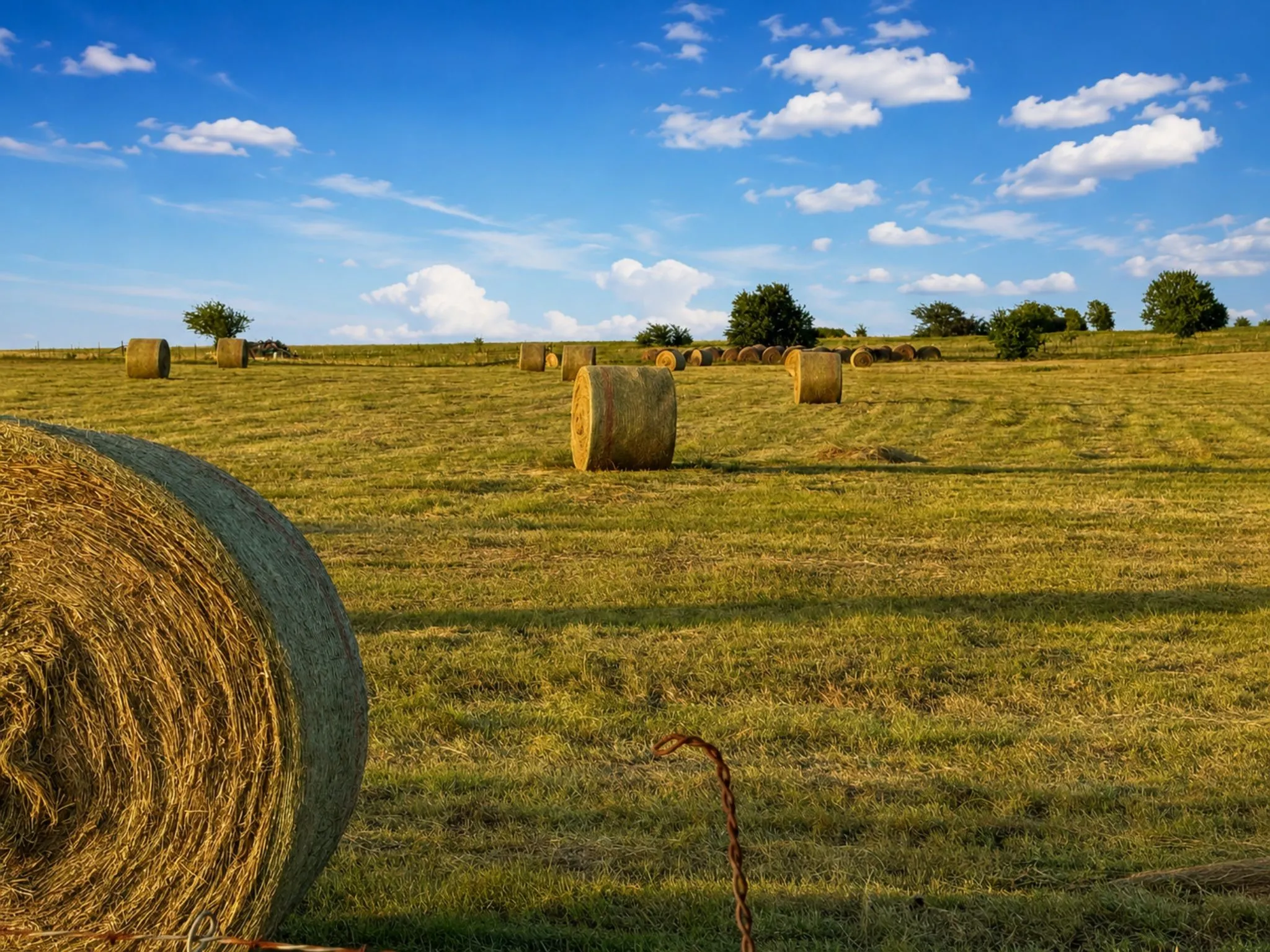 Unimproved Land For Sale in Wise County , TBD County Road 2625, Decatur, Texas 76234, 0, 0, Garage spaces, 0 Sqft, built in 0, Price $252,000, mls#21340567, Real Estate Agent in Decatur, Homes For Sale in Wise county, Homes For Sale in Decatur, Realtor in Decatur Texas, Real Estate Brokerage Independent Realty Texas, Luminita Cordes Realtor