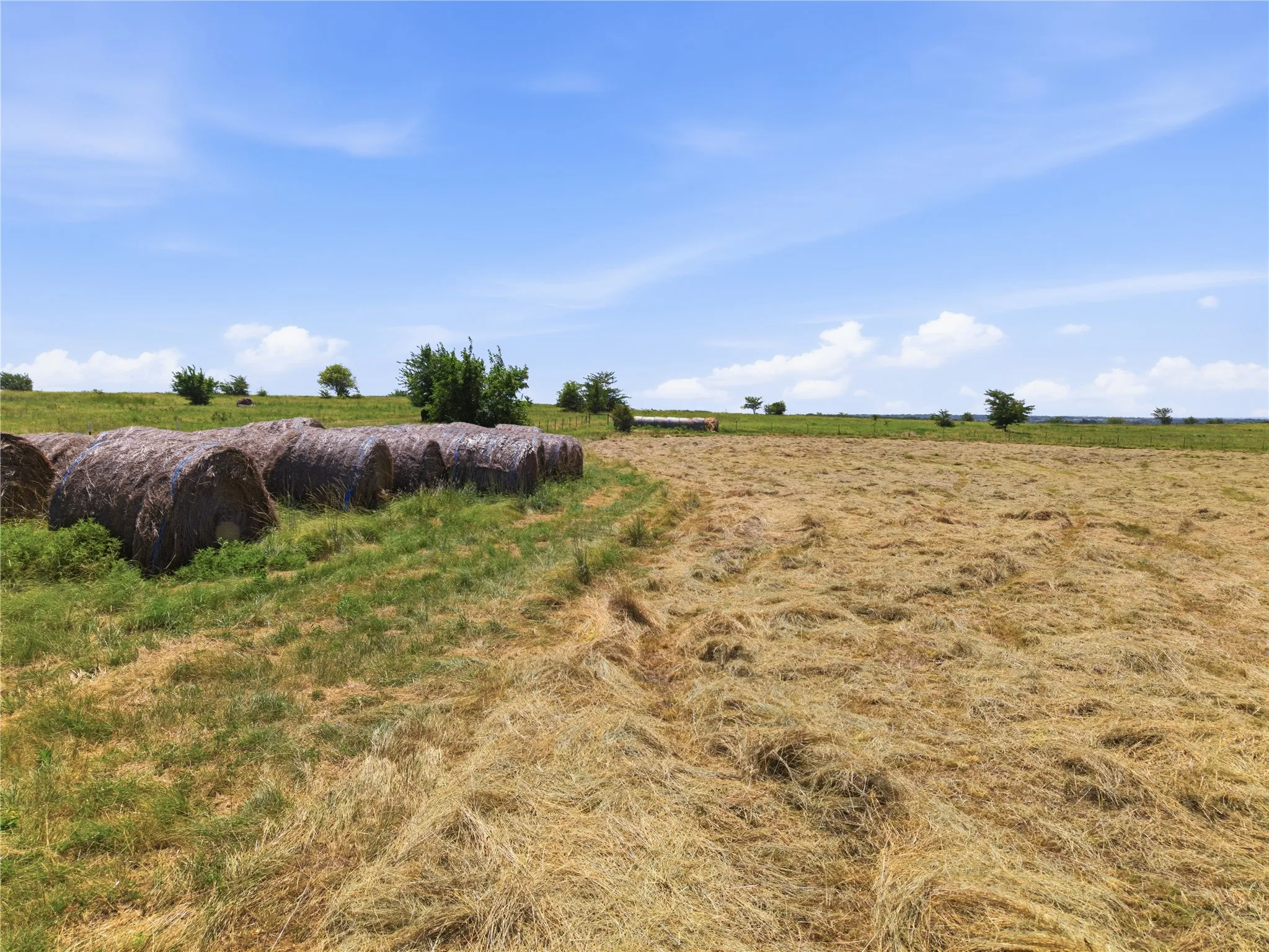 Unimproved Land For Sale in Wise County , TBD County Road 2625, Decatur, Texas 76234, 0, 0, Garage spaces, 0 Sqft, built in 0, Price $252,000, mls#21340567, Real Estate Agent in Decatur, Homes For Sale in Wise county, Homes For Sale in Decatur, Realtor in Decatur Texas, Real Estate Brokerage Independent Realty Texas, Luminita Cordes Realtor