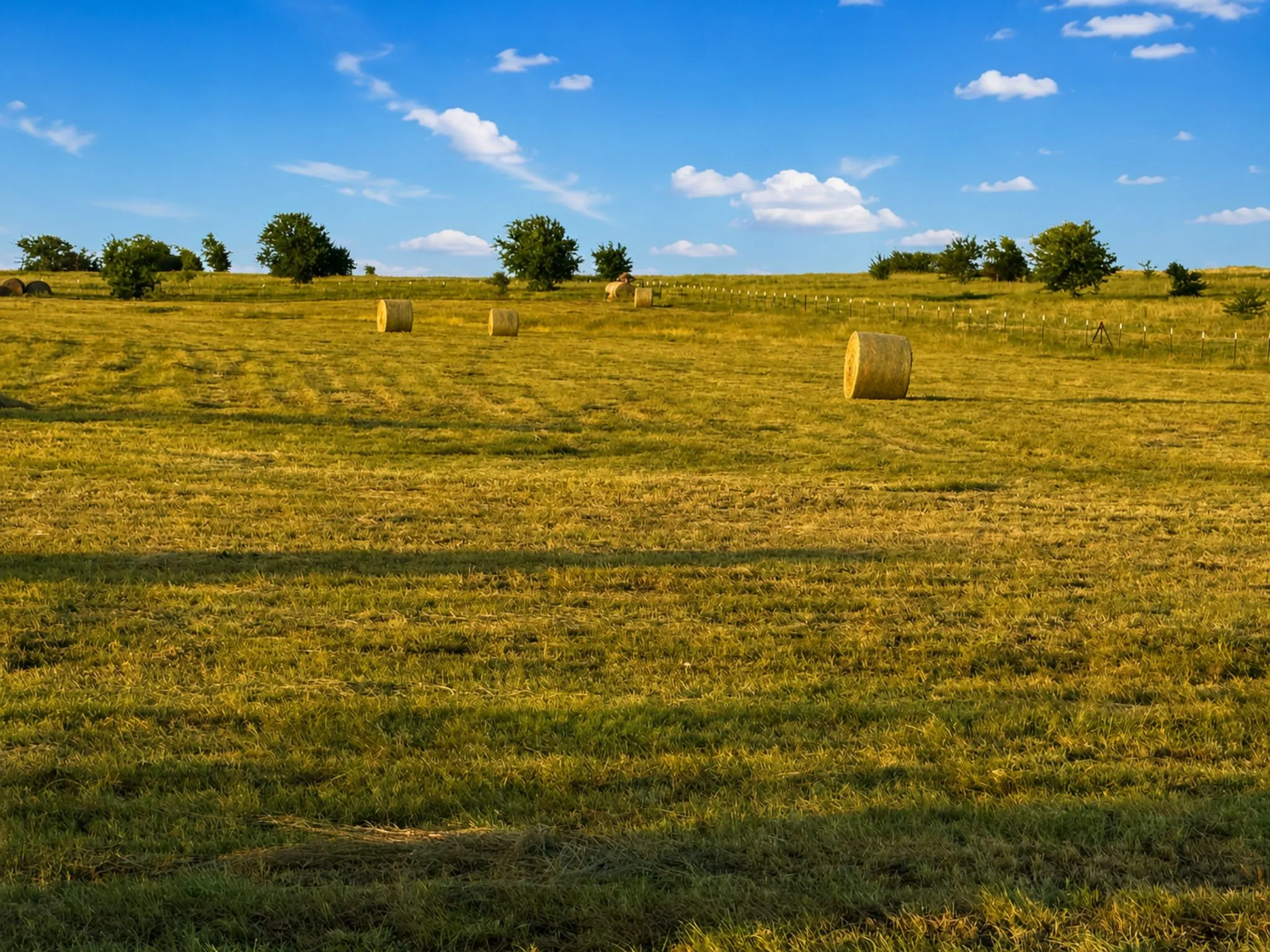 Unimproved Land For Sale in Wise County , TBD County Road 2625, Decatur, Texas 76234, 0, 0, Garage spaces, 0 Sqft, built in 0, Price $252,000, mls#21340567, Real Estate Agent in Decatur, Homes For Sale in Wise county, Homes For Sale in Decatur, Realtor in Decatur Texas, Real Estate Brokerage Independent Realty Texas, Luminita Cordes Realtor