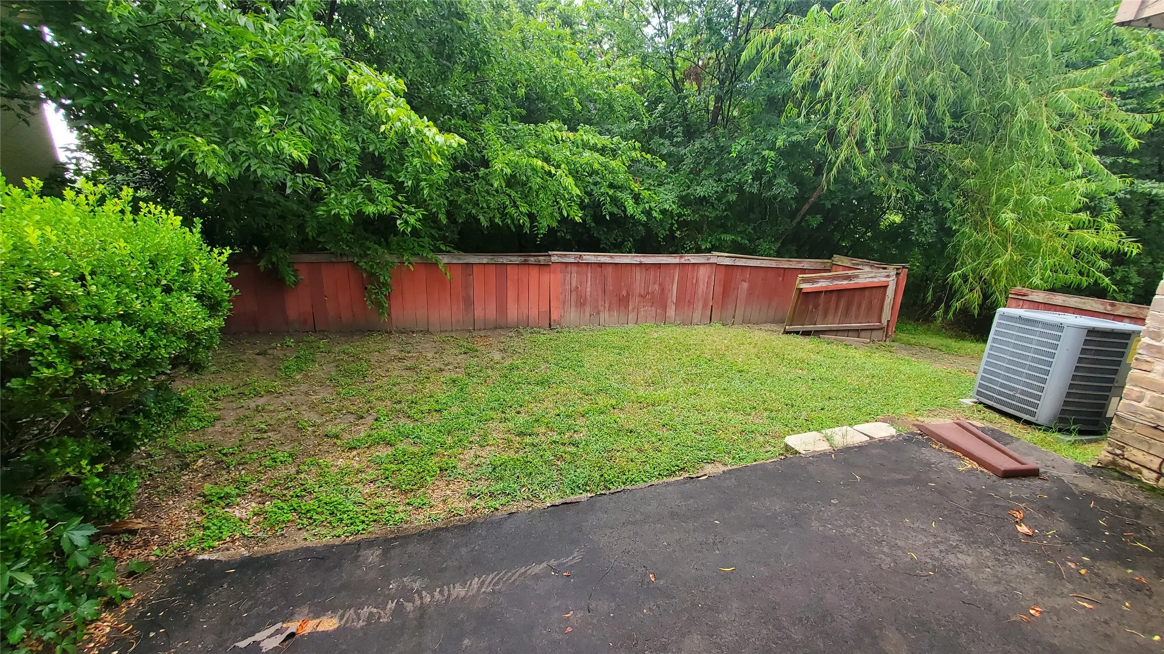 Back yard and fence.