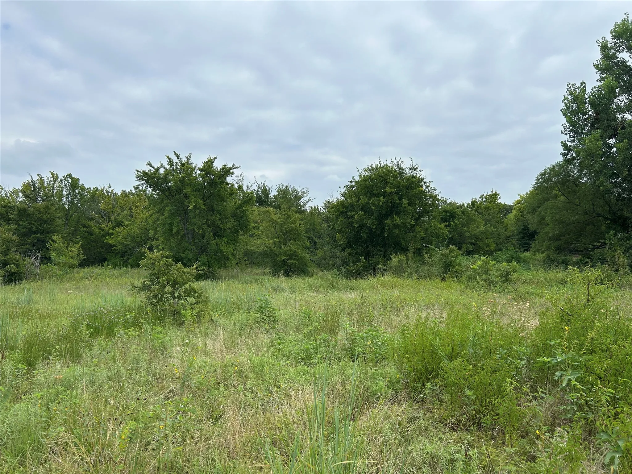 Unimproved Land For Sale in Cooke County , TBD cr 178, Gainesville, Texas 76240, 0, 0, Garage spaces, 0 Sqft, built in 0, mls#21340081, Real Estate Agent in Gainesville, Homes For Sale in Cooke county, Homes For Sale in Gainesville, Realtor in Gainesville Texas, Real Estate Brokerage Independent Realty Texas, Luminita Cordes Realtor