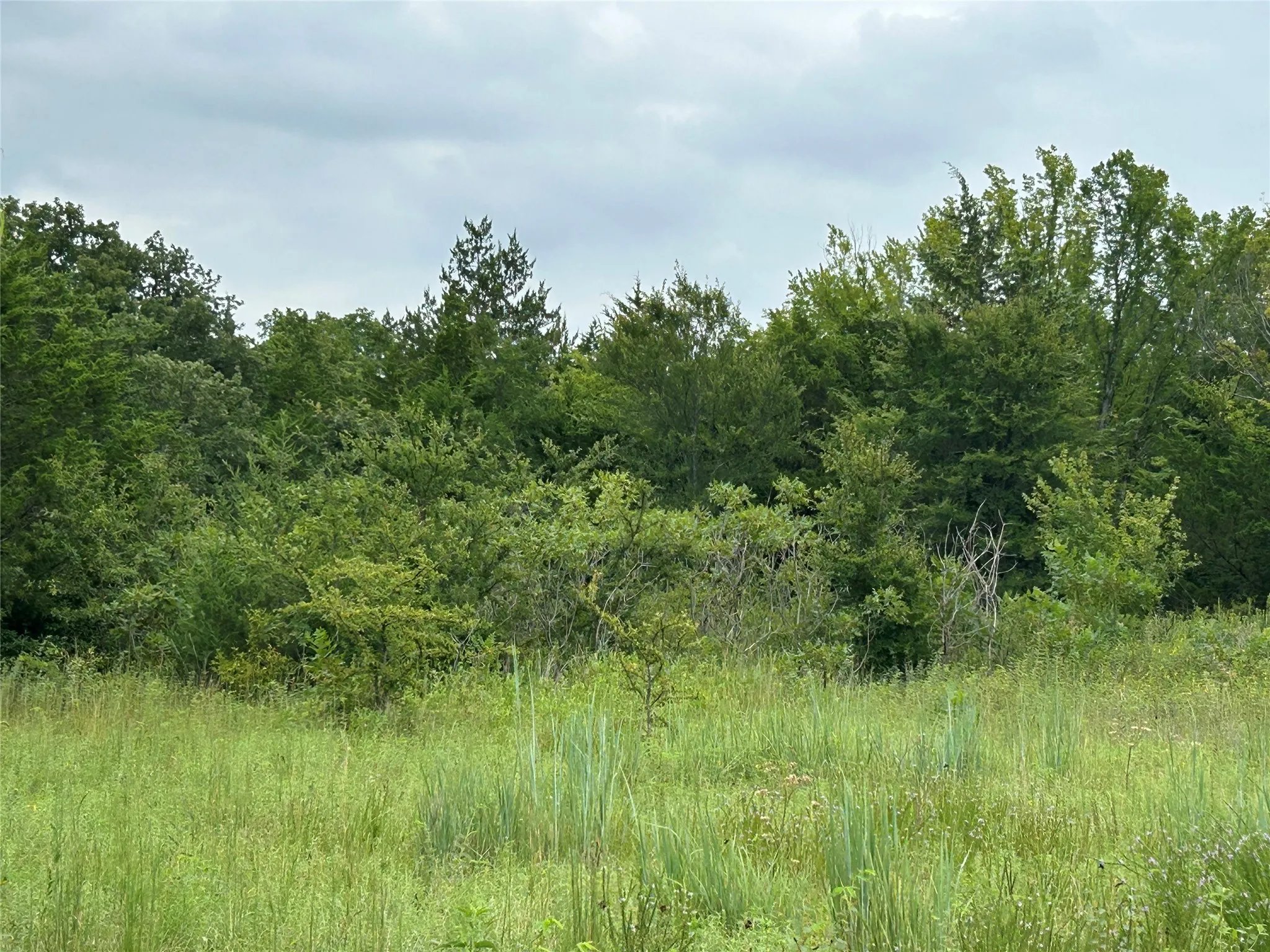 Unimproved Land For Sale in Cooke County , TBD cr 178, Gainesville, Texas 76240, 0, 0, Garage spaces, 0 Sqft, built in 0, mls#21340081, Real Estate Agent in Gainesville, Homes For Sale in Cooke county, Homes For Sale in Gainesville, Realtor in Gainesville Texas, Real Estate Brokerage Independent Realty Texas, Luminita Cordes Realtor