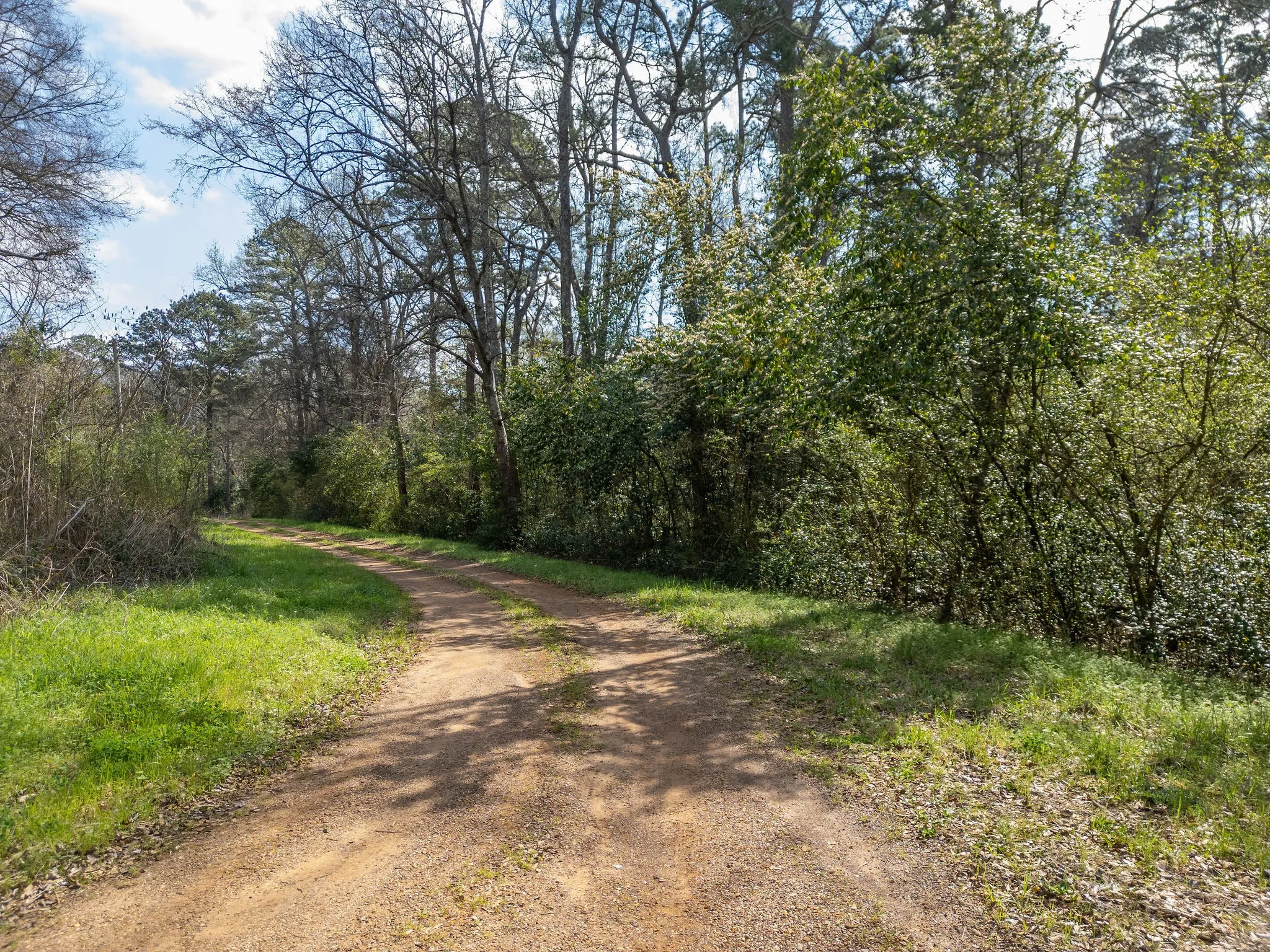 Unimproved Land For Sale in Morris County , TBD Jefferson, Daingerfield, Texas 75638, 0, 0, Garage spaces, 0 Sqft, built in 0, Price $36,000, mls#21313144, Real Estate Agent in Daingerfield, Homes For Sale in Morris county, Homes For Sale in Daingerfield, Realtor in Daingerfield Texas, Real Estate Brokerage Independent Realty Texas, Luminita Cordes Realtor
