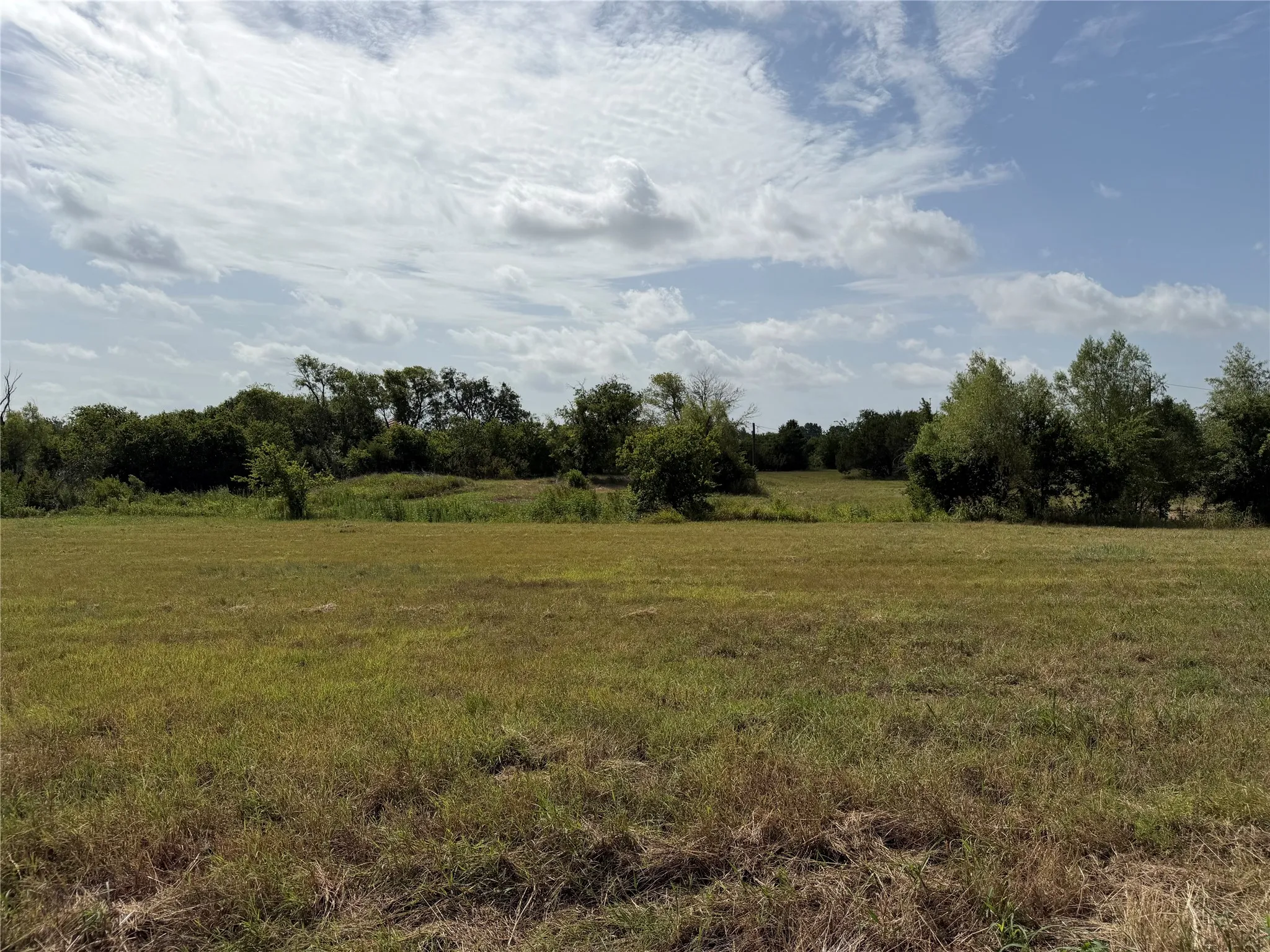 Expansive open field featuring natural grasses and mature trees at the perimeter
