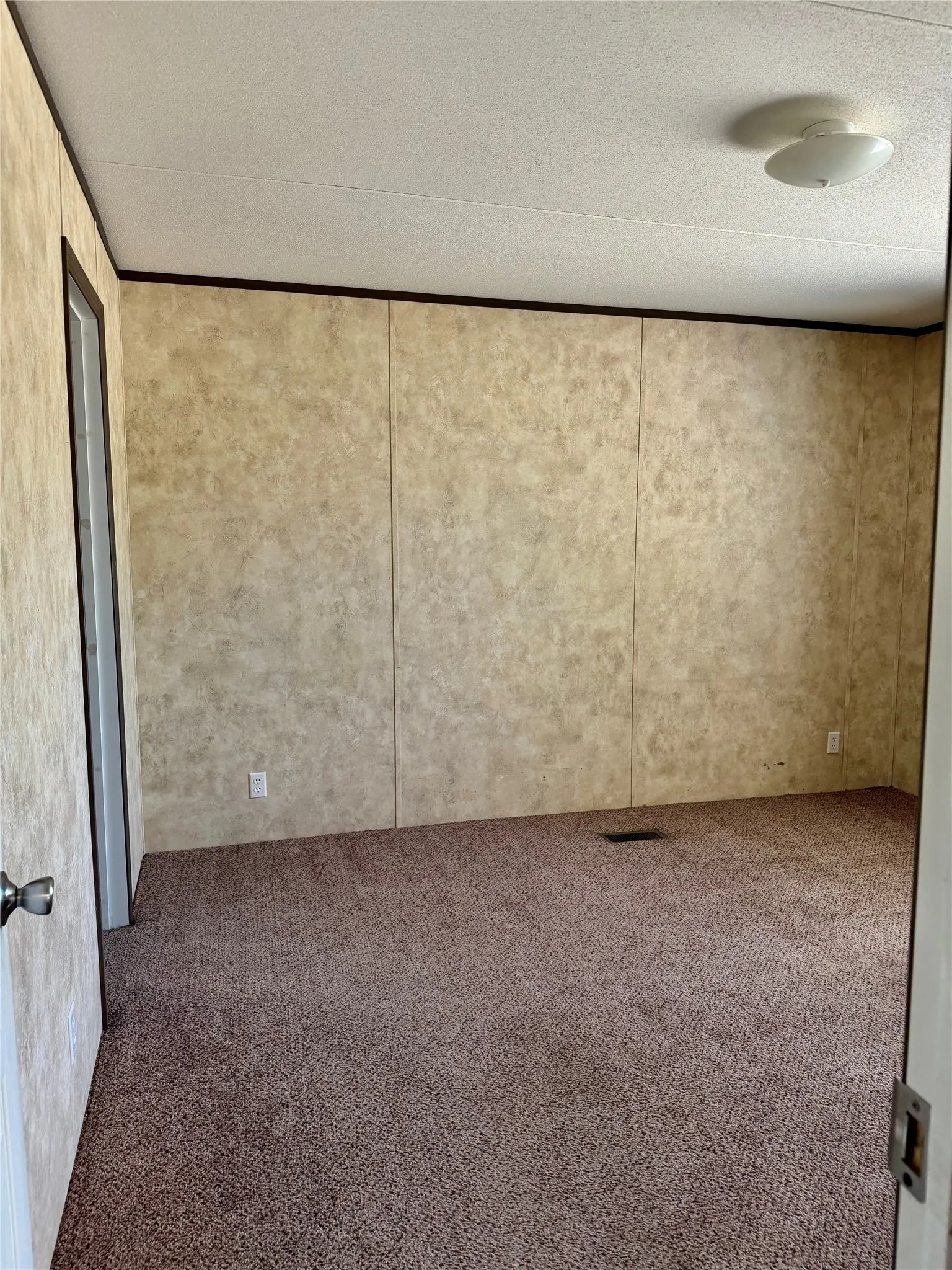 Textured wall panels with dark trim accent, neutral carpeting, and a flush-mount ceiling light fixture