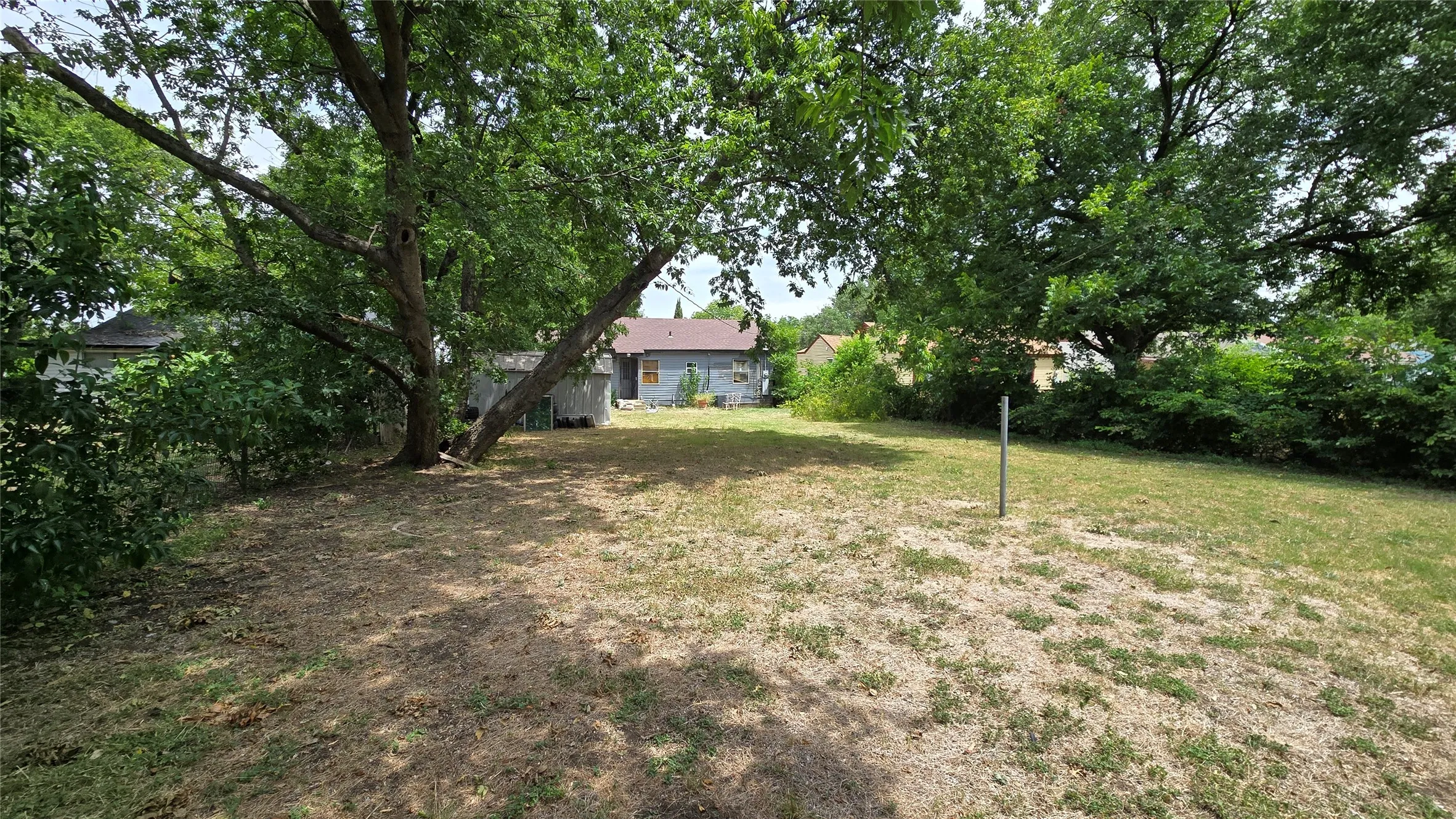 Expansive rear yard featuring mature trees and established greenery