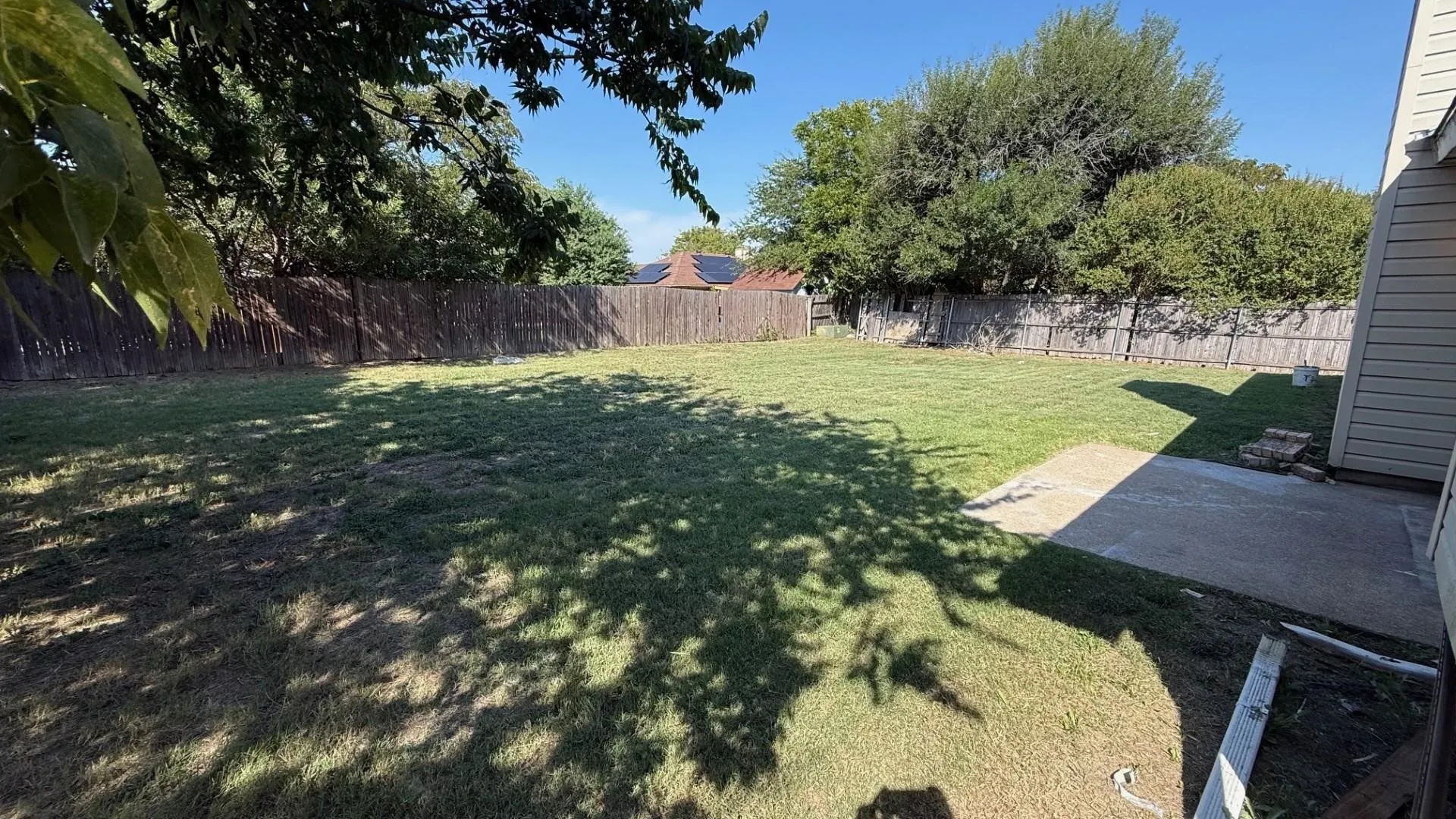 Backyard