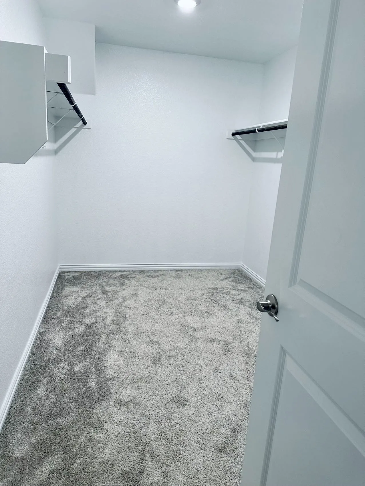 Walk in closet with carpet
