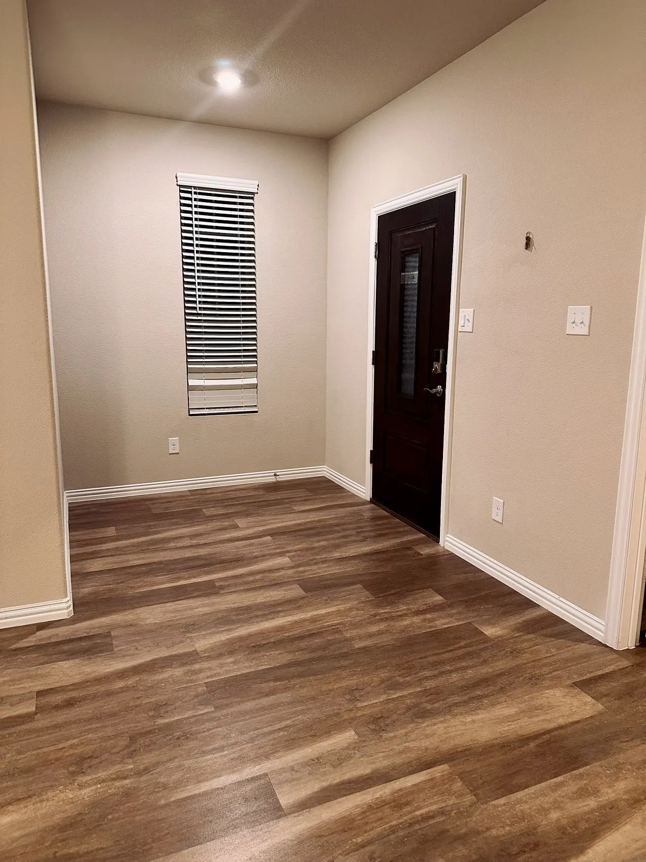 Entryway with dark hardwood / wood-style floors