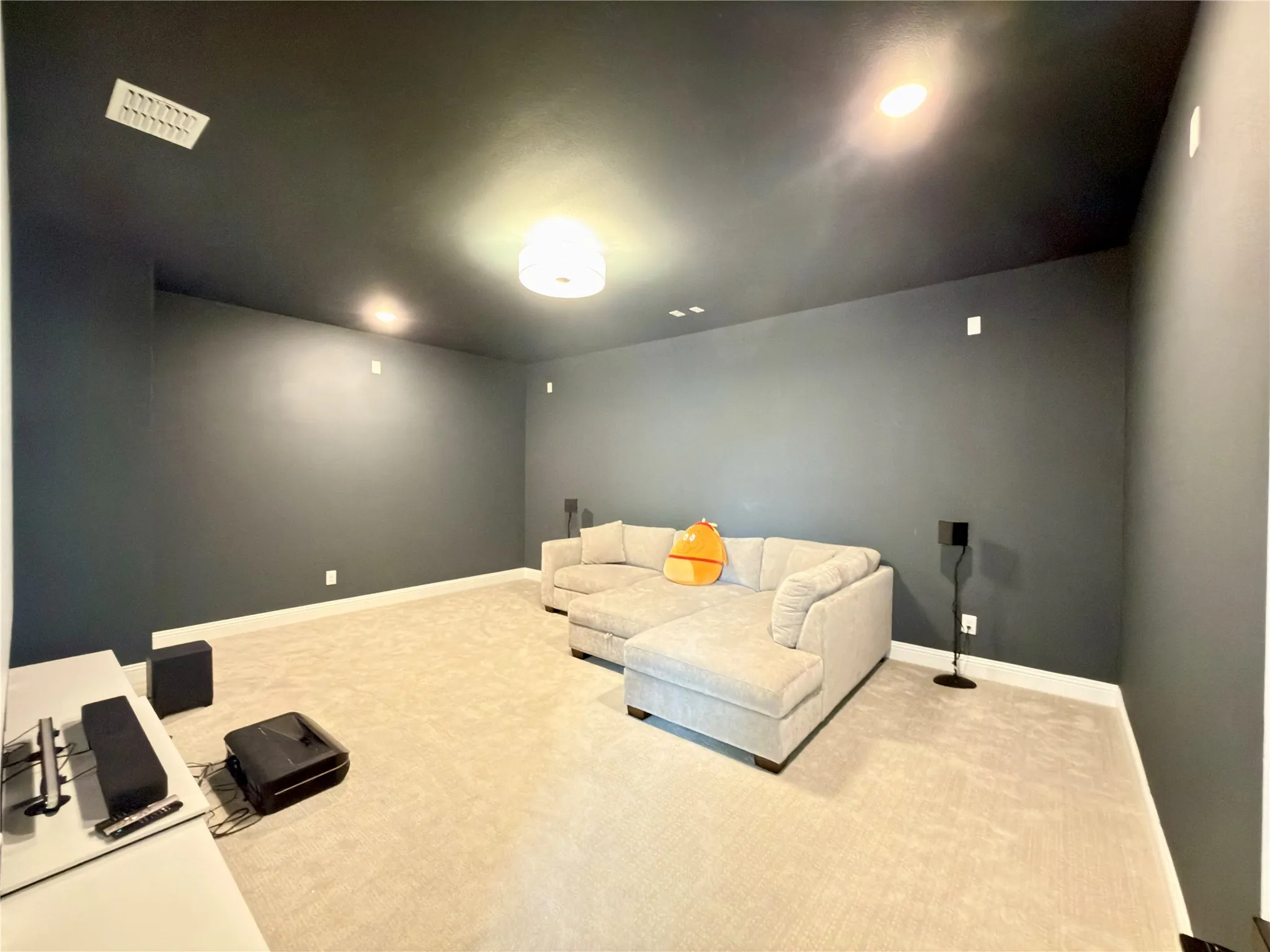 Entertainment Room