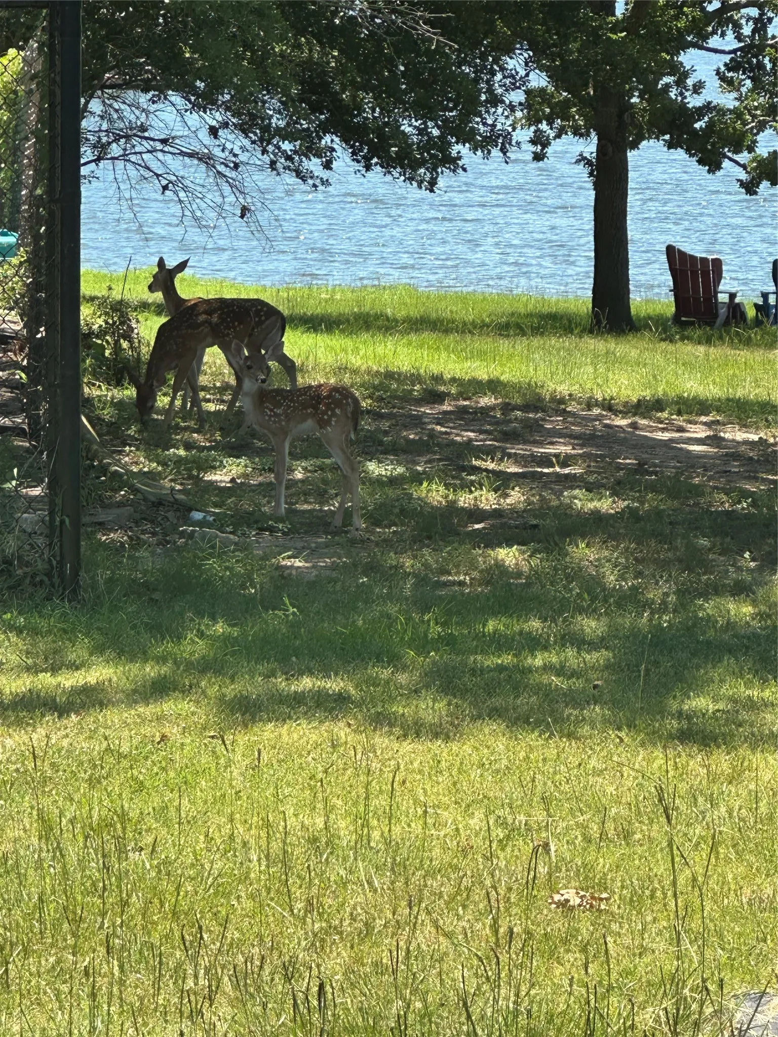 Unimproved Land For Sale in Limestone County , tbd LCR 894, Jewett, Texas 75846, 0, 0, Garage spaces, 0 Sqft, built in 0, Price $99,000, mls#21341361, Real Estate Agent in Jewett, Homes For Sale in Limestone county, Homes For Sale in Jewett, Realtor in Jewett Texas, Real Estate Brokerage Independent Realty Texas, Luminita Cordes Realtor