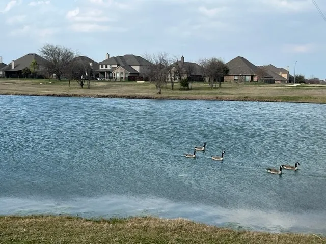 You will love all the nature that is in the 17 Lakes Community