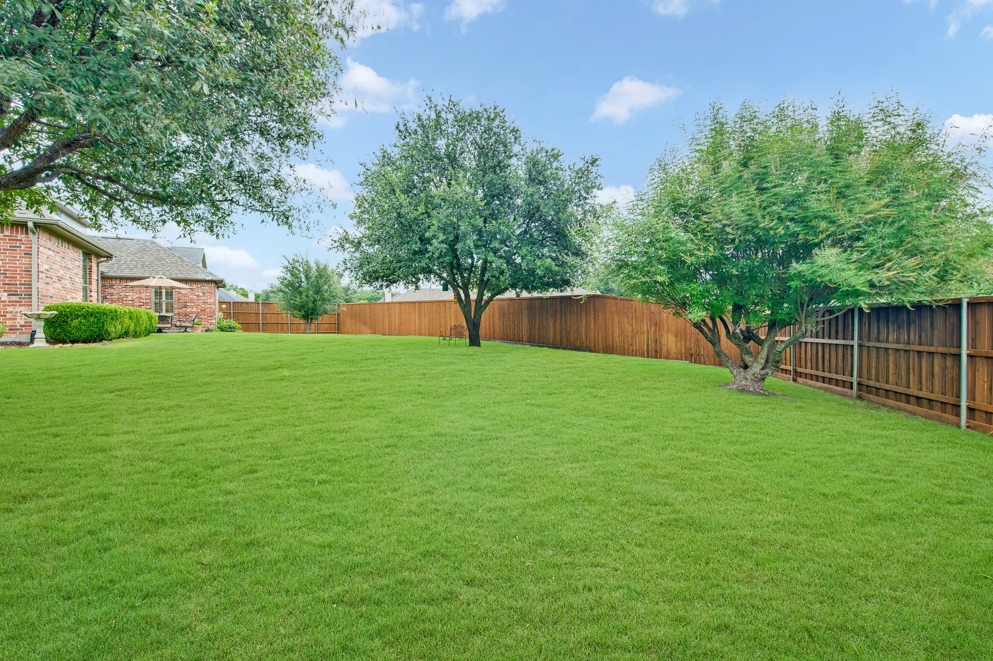 Check out the size of this yard!  It can easily fit a pool with tons of left over green space.
