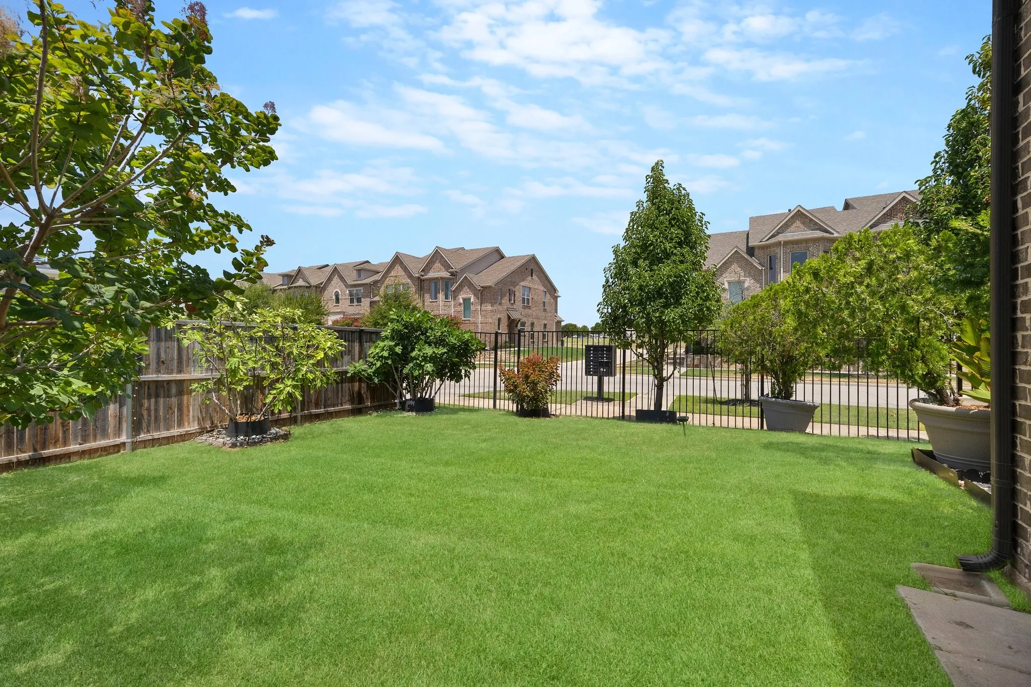 Backyard