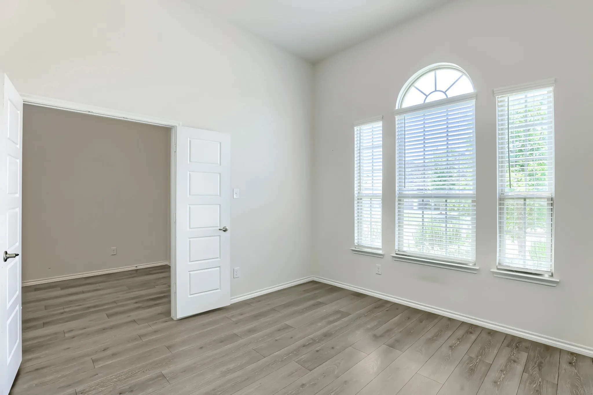 High ceiling, wood-finish flooring, arched window, two additional windows, and a doorway with a five-panel door