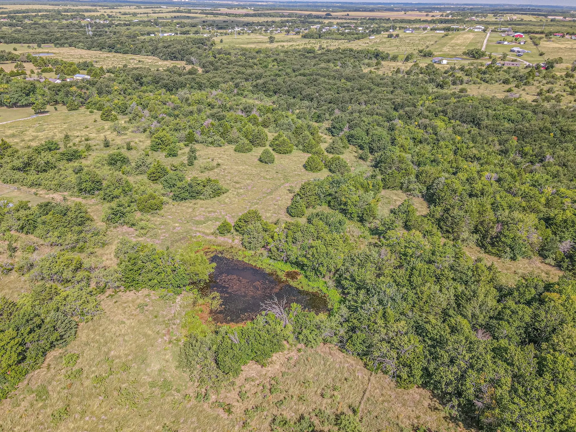 Farm For Sale in Kaufman County , 13961 County Road 236, Terrell, Texas 75160, 2 Bedroom, 1 Bathroom, Garage spaces, 1,008 Sqft, built in 1950, mls#21341229, Real Estate Agent in Terrell, Homes For Sale in Kaufman county, Homes For Sale in Terrell, Realtor in Terrell Texas, Real Estate Brokerage Independent Realty Texas, Luminita Cordes Realtor