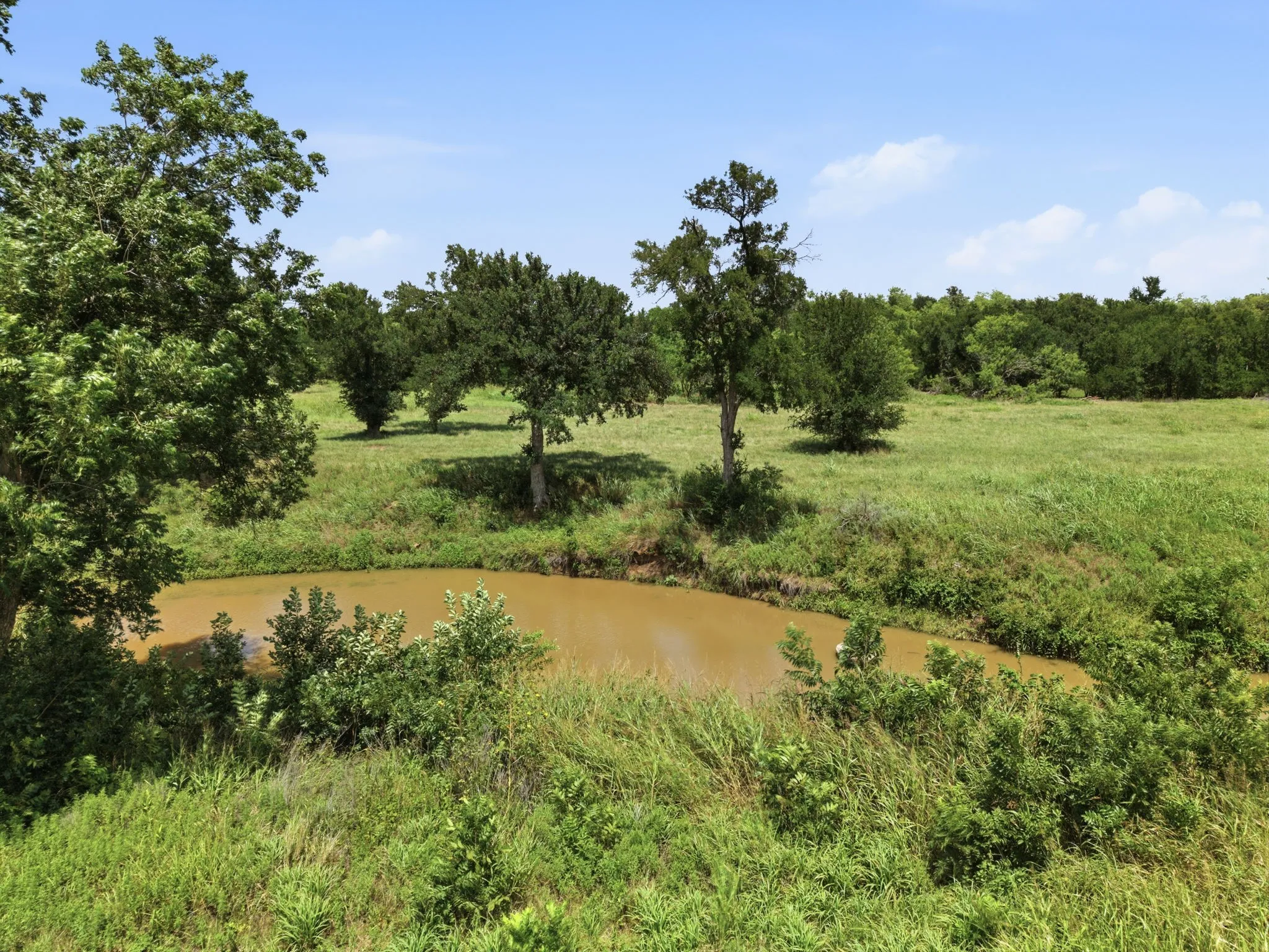 Unimproved Land For Sale in Eastland County , 0 Seaman Street, Eastland, Texas 76448, 0, 0, Garage spaces, 0 Sqft, built in 0, Price $309,000, mls#21341086, Real Estate Agent in Eastland, Homes For Sale in Eastland county, Homes For Sale in Eastland, Realtor in Eastland Texas, Real Estate Brokerage Independent Realty Texas, Luminita Cordes Realtor