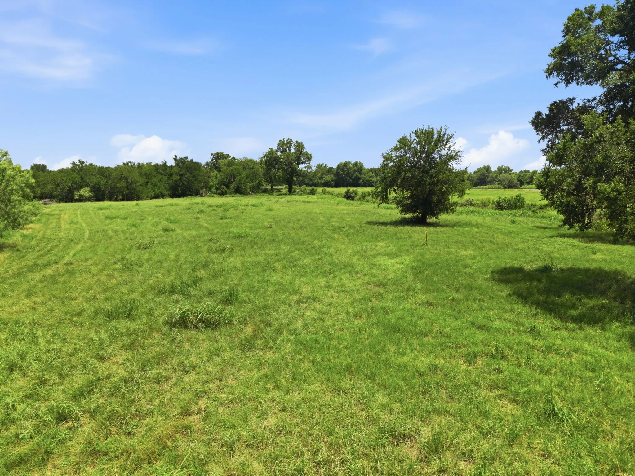 Unimproved Land For Sale in Eastland County , 0 Seaman Street, Eastland, Texas 76448, 0, 0, Garage spaces, 0 Sqft, built in 0, Price $309,000, mls#21341086, Real Estate Agent in Eastland, Homes For Sale in Eastland county, Homes For Sale in Eastland, Realtor in Eastland Texas, Real Estate Brokerage Independent Realty Texas, Luminita Cordes Realtor