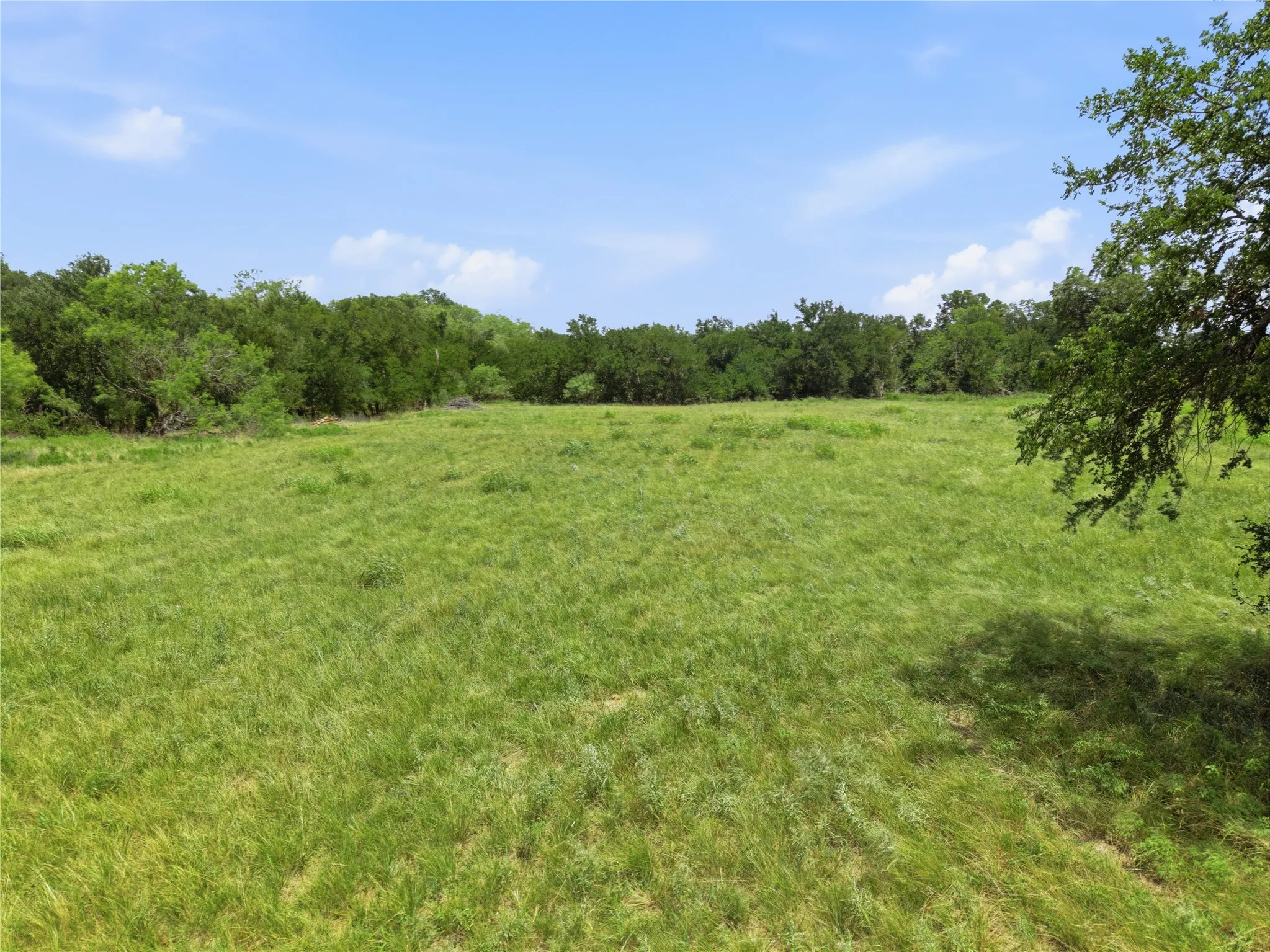 Unimproved Land For Sale in Eastland County , 0 Seaman Street, Eastland, Texas 76448, 0, 0, Garage spaces, 0 Sqft, built in 0, Price $309,000, mls#21341086, Real Estate Agent in Eastland, Homes For Sale in Eastland county, Homes For Sale in Eastland, Realtor in Eastland Texas, Real Estate Brokerage Independent Realty Texas, Luminita Cordes Realtor