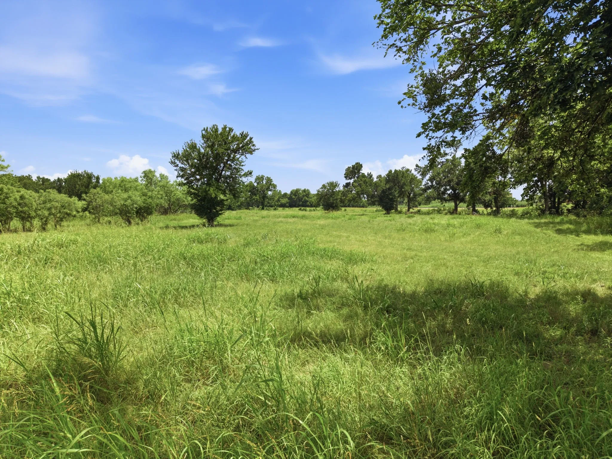 Unimproved Land For Sale in Eastland County , 0 Seaman Street, Eastland, Texas 76448, 0, 0, Garage spaces, 0 Sqft, built in 0, Price $309,000, mls#21341086, Real Estate Agent in Eastland, Homes For Sale in Eastland county, Homes For Sale in Eastland, Realtor in Eastland Texas, Real Estate Brokerage Independent Realty Texas, Luminita Cordes Realtor