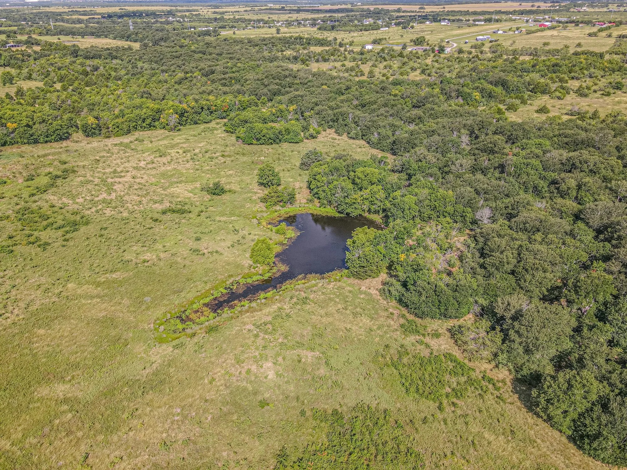 Unimproved Land For Sale in Kaufman County , TBD County Road 236, Terrell, Texas 75160, 0, 0, Garage spaces, 0 Sqft, built in 0, mls#21341218, Real Estate Agent in Terrell, Homes For Sale in Kaufman county, Homes For Sale in Terrell, Realtor in Terrell Texas, Real Estate Brokerage Independent Realty Texas, Luminita Cordes Realtor