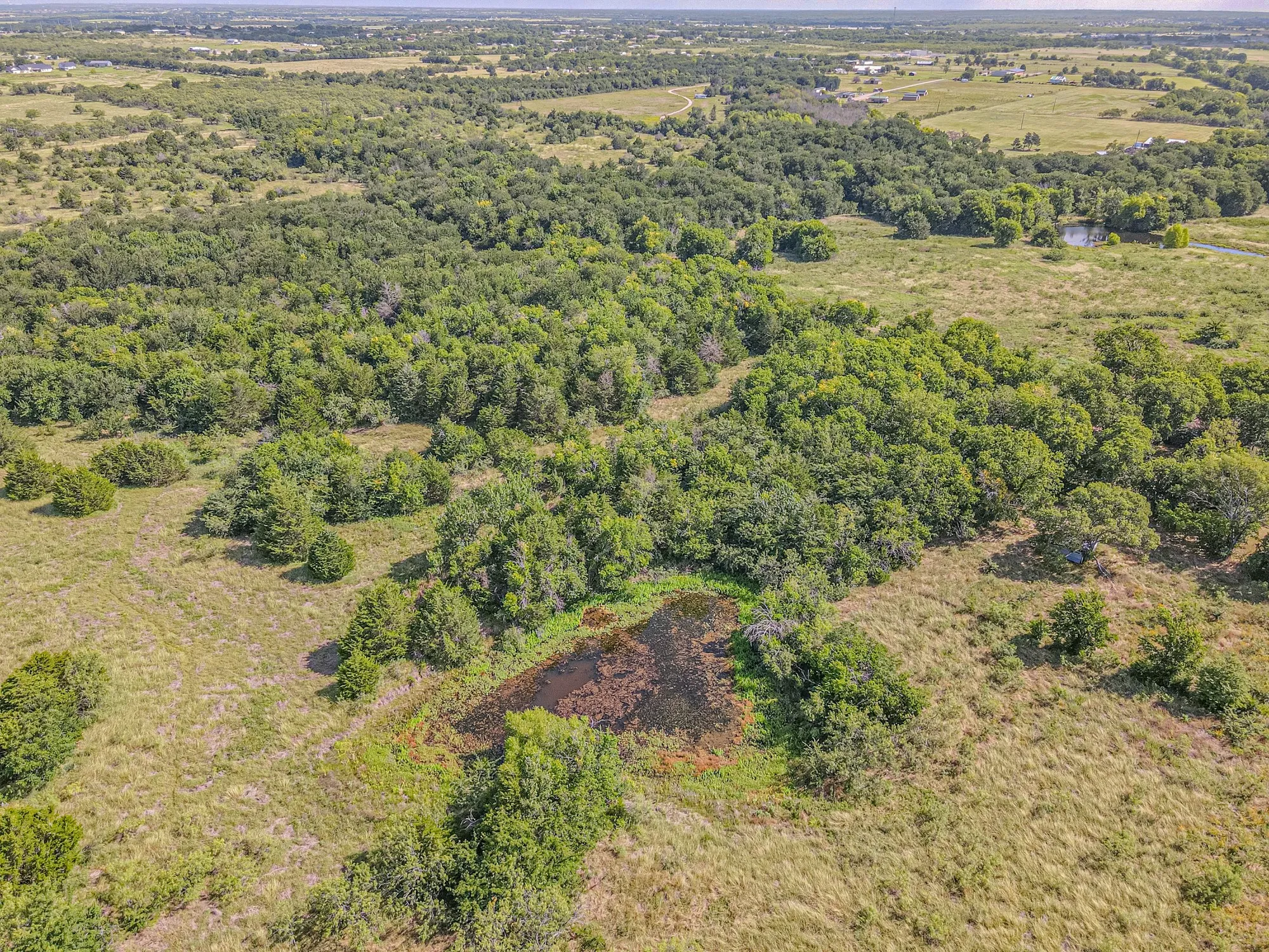 Unimproved Land For Sale in Kaufman County , TBD County Road 236, Terrell, Texas 75160, 0, 0, Garage spaces, 0 Sqft, built in 0, mls#21341218, Real Estate Agent in Terrell, Homes For Sale in Kaufman county, Homes For Sale in Terrell, Realtor in Terrell Texas, Real Estate Brokerage Independent Realty Texas, Luminita Cordes Realtor