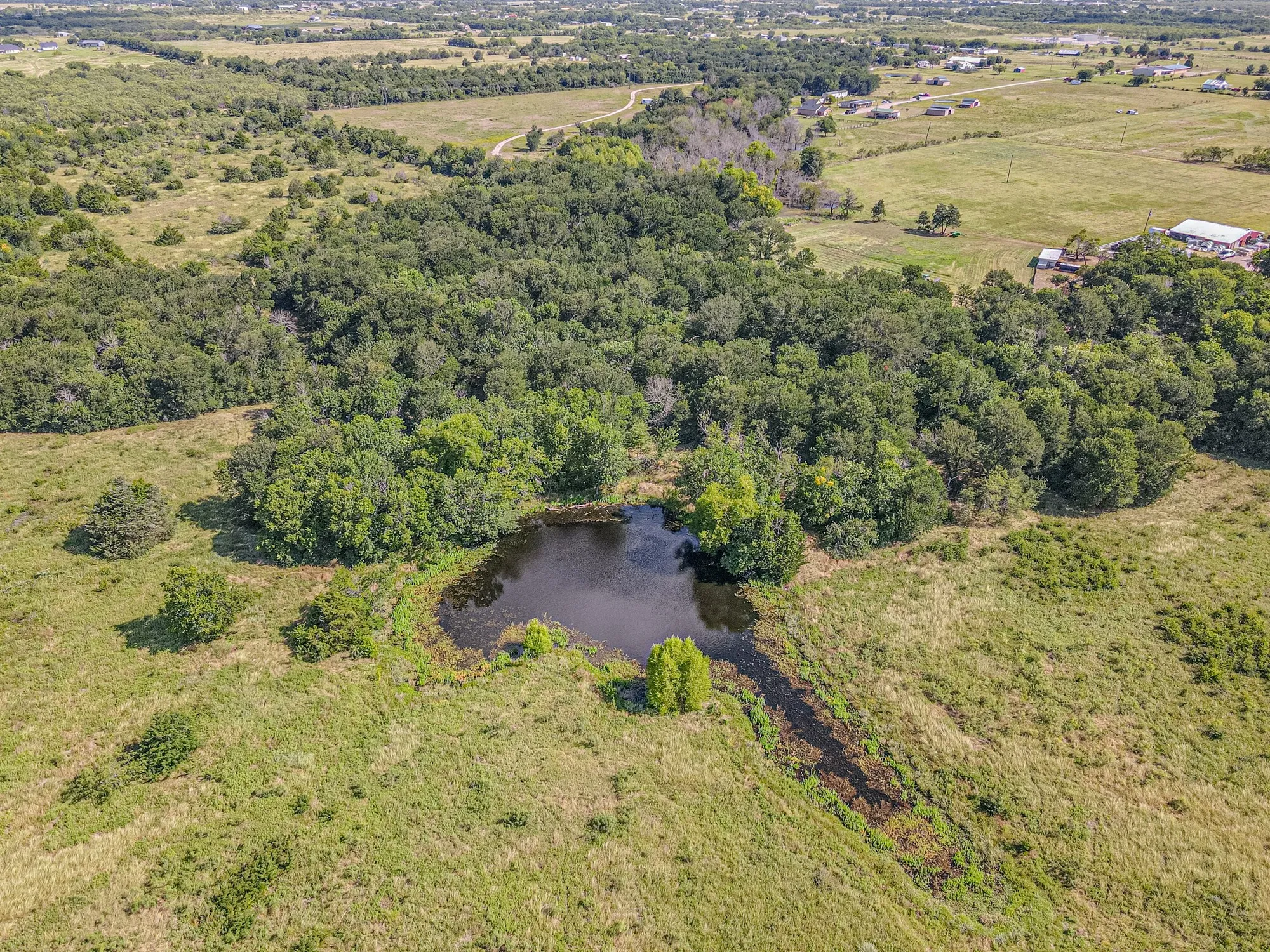 Unimproved Land For Sale in Kaufman County , TBD County Road 236, Terrell, Texas 75160, 0, 0, Garage spaces, 0 Sqft, built in 0, mls#21341218, Real Estate Agent in Terrell, Homes For Sale in Kaufman county, Homes For Sale in Terrell, Realtor in Terrell Texas, Real Estate Brokerage Independent Realty Texas, Luminita Cordes Realtor
