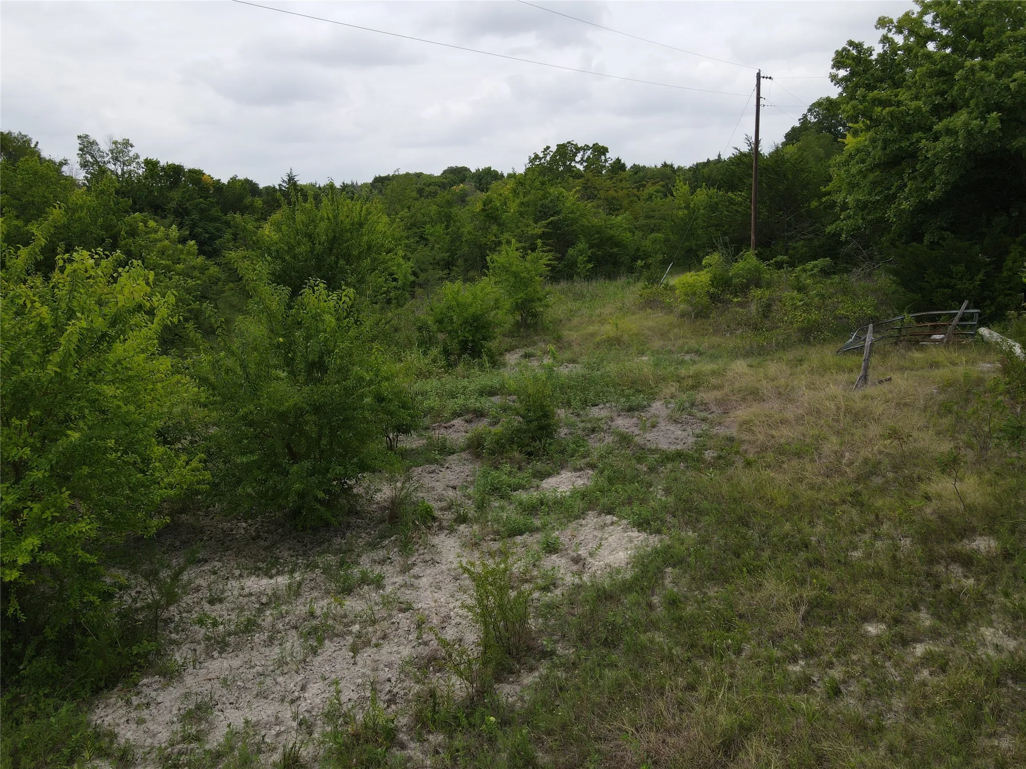 Unimproved Land For Sale in Fannin County , TBD County Road 4245, Bonham, Texas 75418, 0, 0, Garage spaces, 0 Sqft, built in 0, Price $415,000, mls#21341470, Real Estate Agent in Bonham, Homes For Sale in Fannin county, Homes For Sale in Bonham, Realtor in Bonham Texas, Real Estate Brokerage Independent Realty Texas, Luminita Cordes Realtor