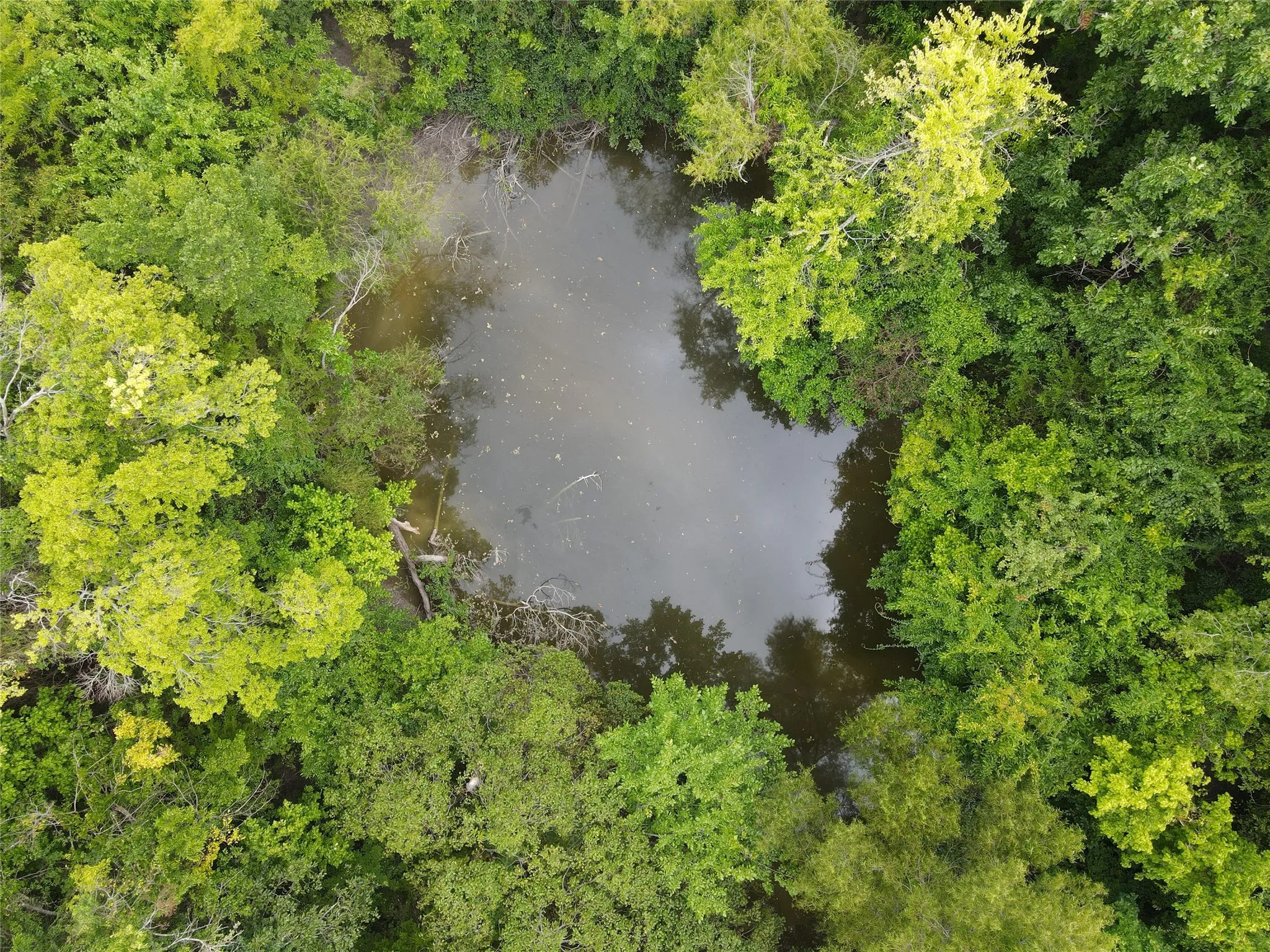 Unimproved Land For Sale in Fannin County , TBD County Road 4245, Bonham, Texas 75418, 0, 0, Garage spaces, 0 Sqft, built in 0, Price $415,000, mls#21341470, Real Estate Agent in Bonham, Homes For Sale in Fannin county, Homes For Sale in Bonham, Realtor in Bonham Texas, Real Estate Brokerage Independent Realty Texas, Luminita Cordes Realtor