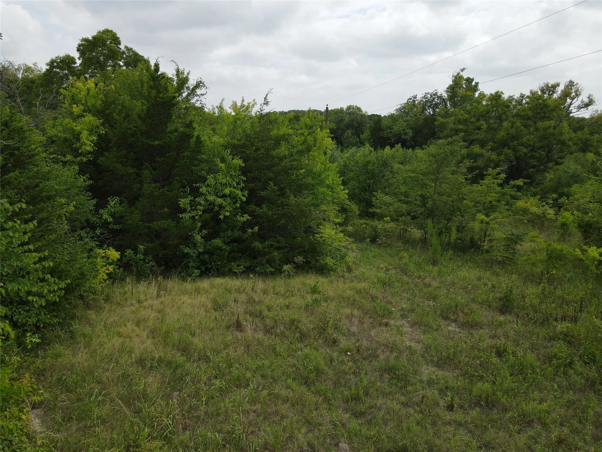 Unimproved Land For Sale in Fannin County , TBD County Road 4245, Bonham, Texas 75418, 0, 0, Garage spaces, 0 Sqft, built in 0, Price $415,000, mls#21341470, Real Estate Agent in Bonham, Homes For Sale in Fannin county, Homes For Sale in Bonham, Realtor in Bonham Texas, Real Estate Brokerage Independent Realty Texas, Luminita Cordes Realtor