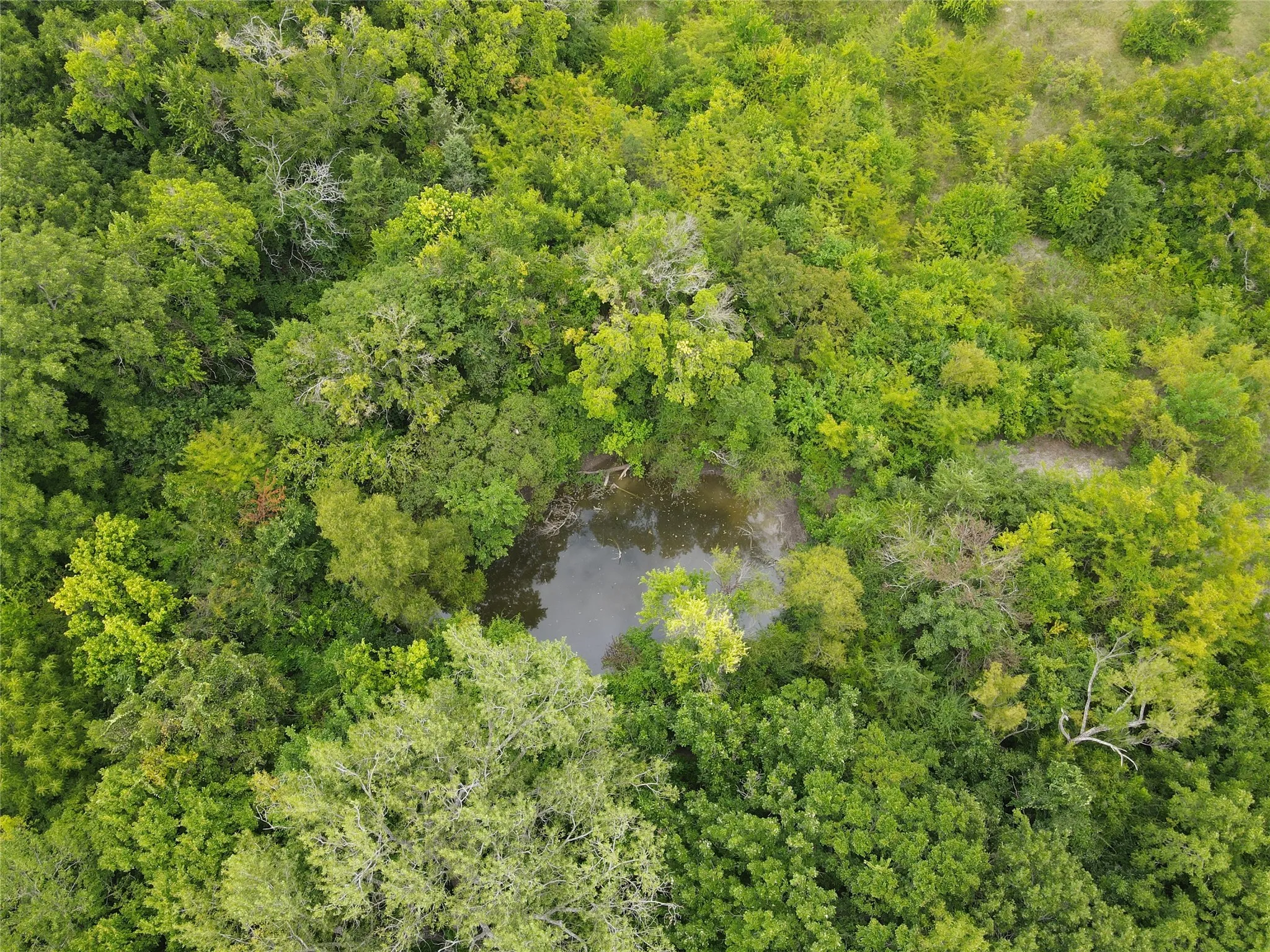 Unimproved Land For Sale in Fannin County , TBD County Road 4245, Bonham, Texas 75418, 0, 0, Garage spaces, 0 Sqft, built in 0, Price $415,000, mls#21341470, Real Estate Agent in Bonham, Homes For Sale in Fannin county, Homes For Sale in Bonham, Realtor in Bonham Texas, Real Estate Brokerage Independent Realty Texas, Luminita Cordes Realtor