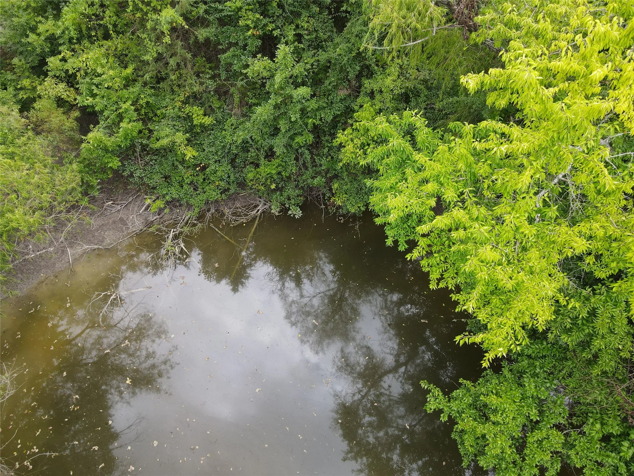 Unimproved Land For Sale in Fannin County , TBD County Road 4245, Bonham, Texas 75418, 0, 0, Garage spaces, 0 Sqft, built in 0, Price $415,000, mls#21341470, Real Estate Agent in Bonham, Homes For Sale in Fannin county, Homes For Sale in Bonham, Realtor in Bonham Texas, Real Estate Brokerage Independent Realty Texas, Luminita Cordes Realtor