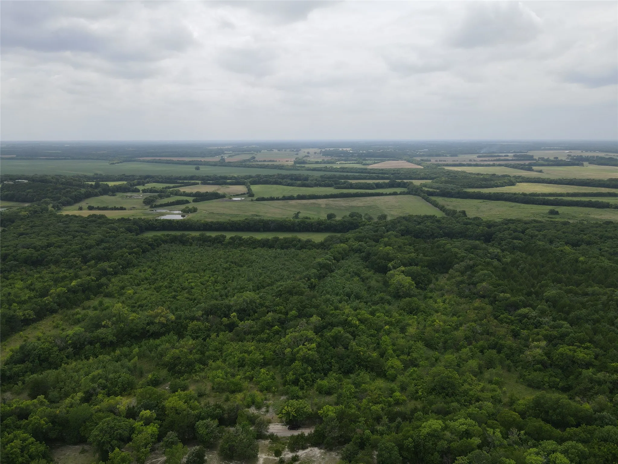 Unimproved Land For Sale in Fannin County , TBD County Road 4245, Bonham, Texas 75418, 0, 0, Garage spaces, 0 Sqft, built in 0, Price $415,000, mls#21341470, Real Estate Agent in Bonham, Homes For Sale in Fannin county, Homes For Sale in Bonham, Realtor in Bonham Texas, Real Estate Brokerage Independent Realty Texas, Luminita Cordes Realtor