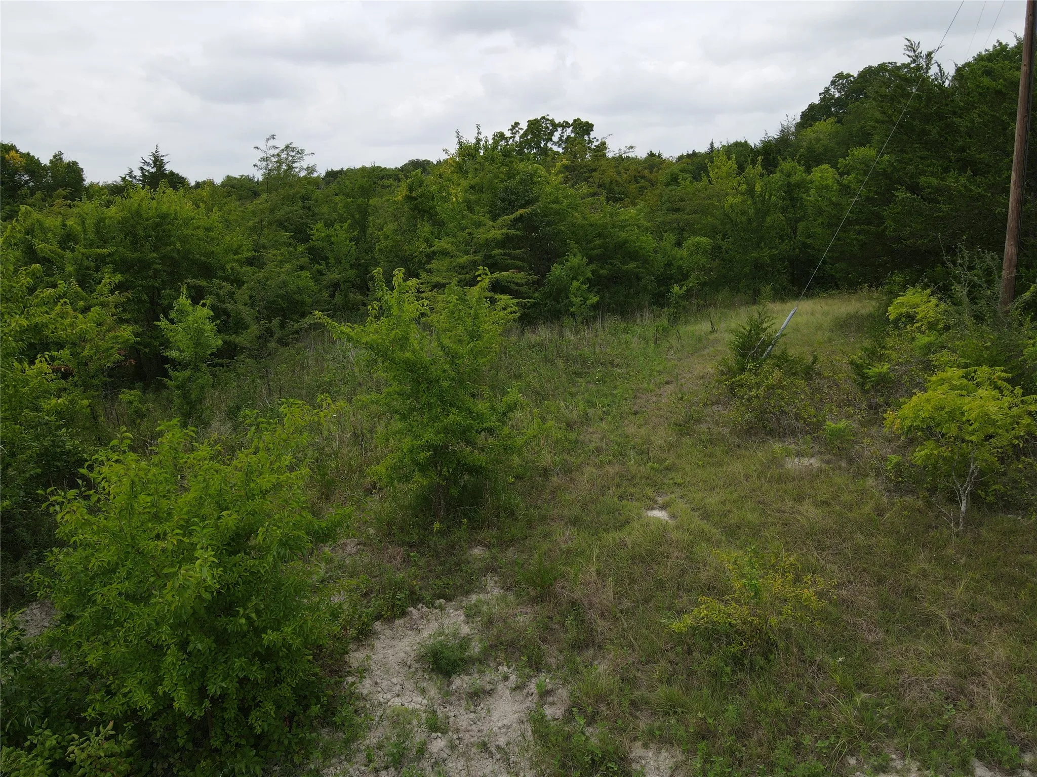Unimproved Land For Sale in Fannin County , TBD County Road 4245, Bonham, Texas 75418, 0, 0, Garage spaces, 0 Sqft, built in 0, Price $415,000, mls#21341470, Real Estate Agent in Bonham, Homes For Sale in Fannin county, Homes For Sale in Bonham, Realtor in Bonham Texas, Real Estate Brokerage Independent Realty Texas, Luminita Cordes Realtor