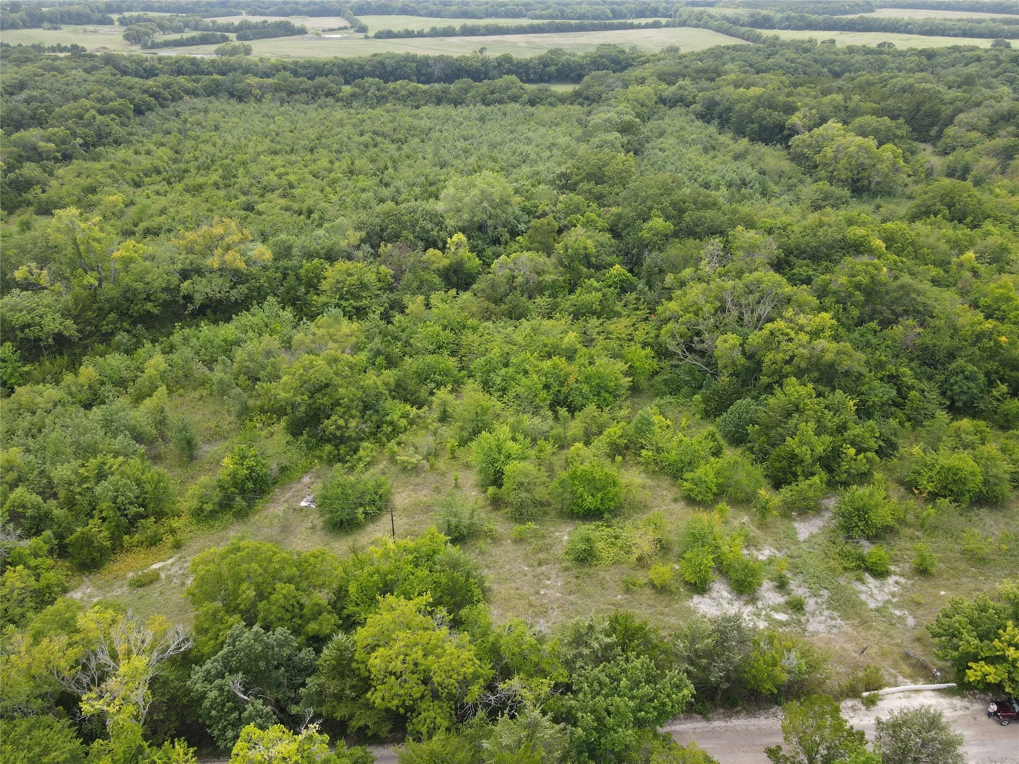 Unimproved Land For Sale in Fannin County , TBD County Road 4245, Bonham, Texas 75418, 0, 0, Garage spaces, 0 Sqft, built in 0, Price $415,000, mls#21341470, Real Estate Agent in Bonham, Homes For Sale in Fannin county, Homes For Sale in Bonham, Realtor in Bonham Texas, Real Estate Brokerage Independent Realty Texas, Luminita Cordes Realtor